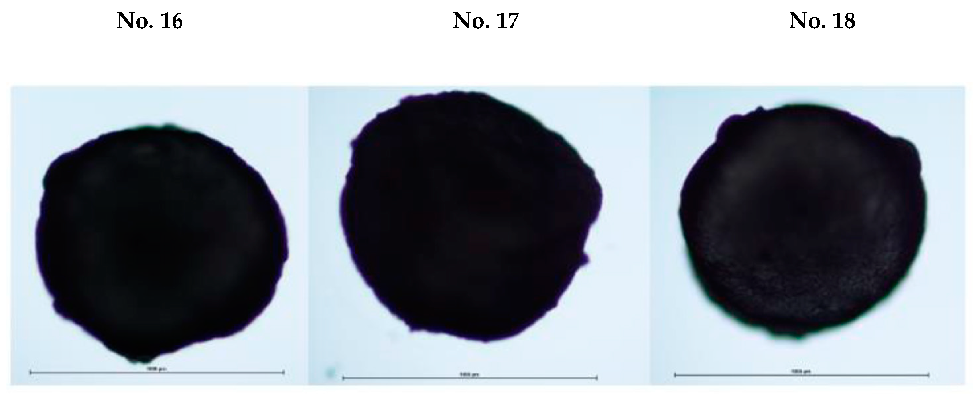 Pharmaceutics 14 01259 g010 550