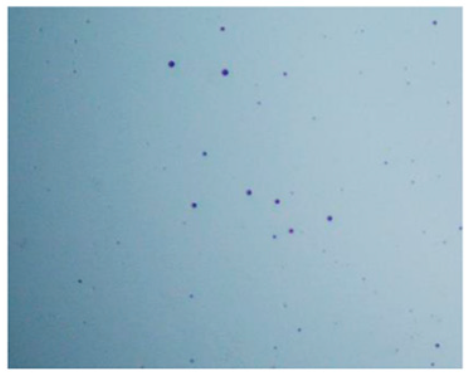 Pharmaceutics 14 01259 g017 550