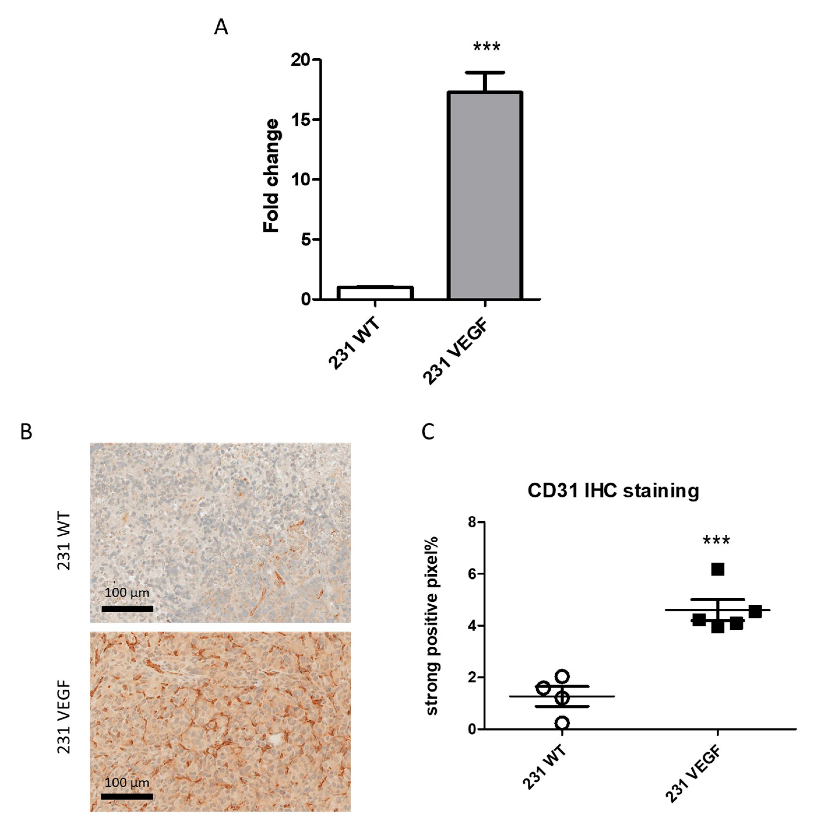 Pharmaceutics 14 01260 g001