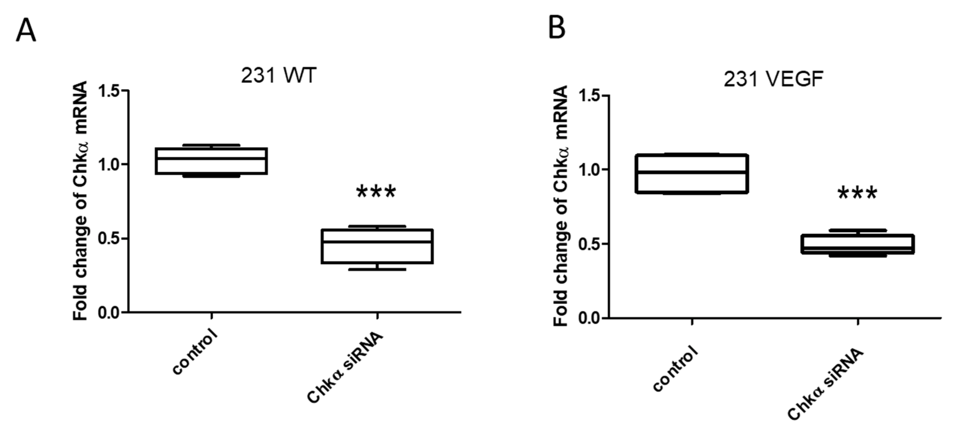 Pharmaceutics 14 01260 g002