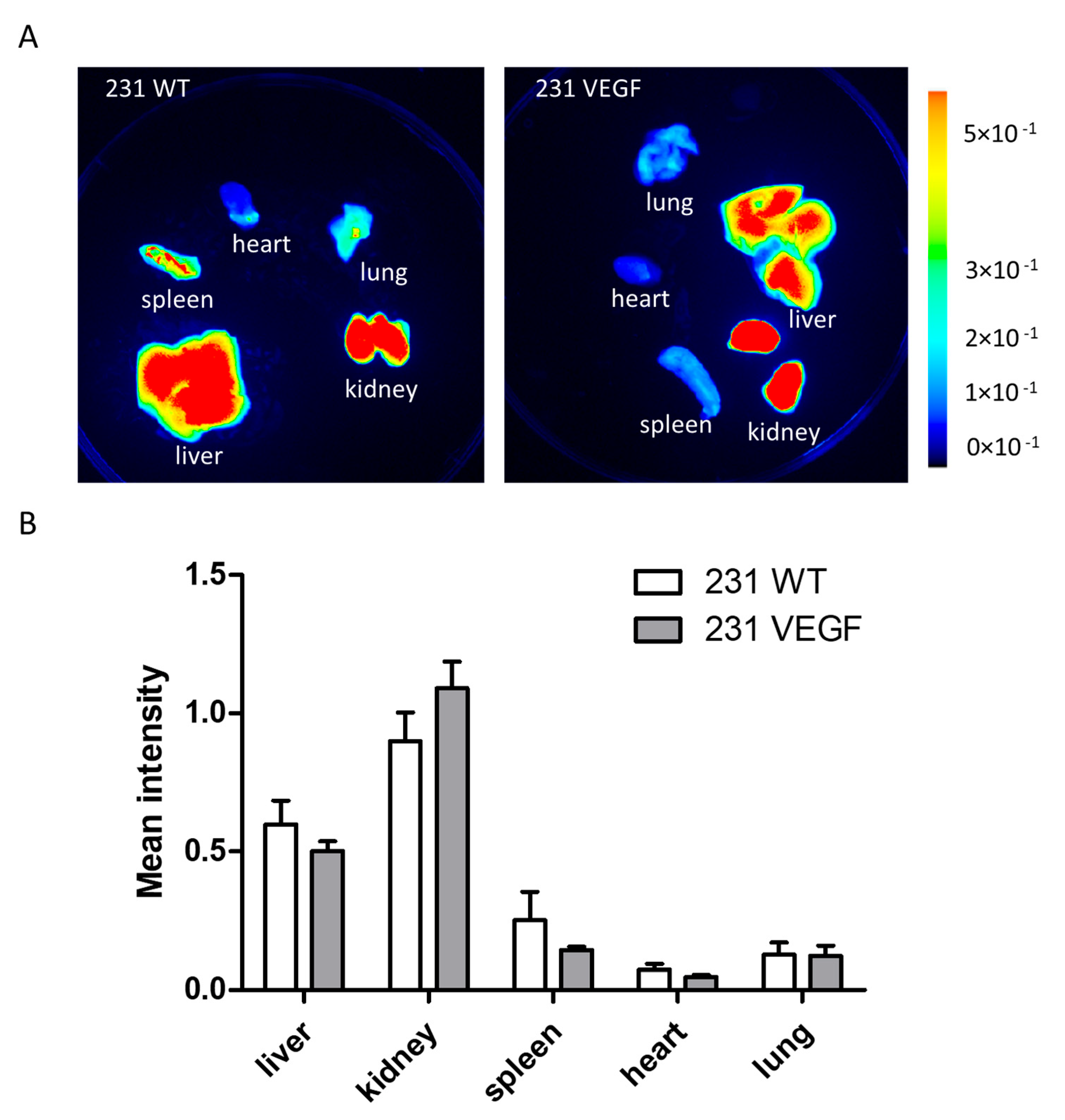 Pharmaceutics 14 01260 g004