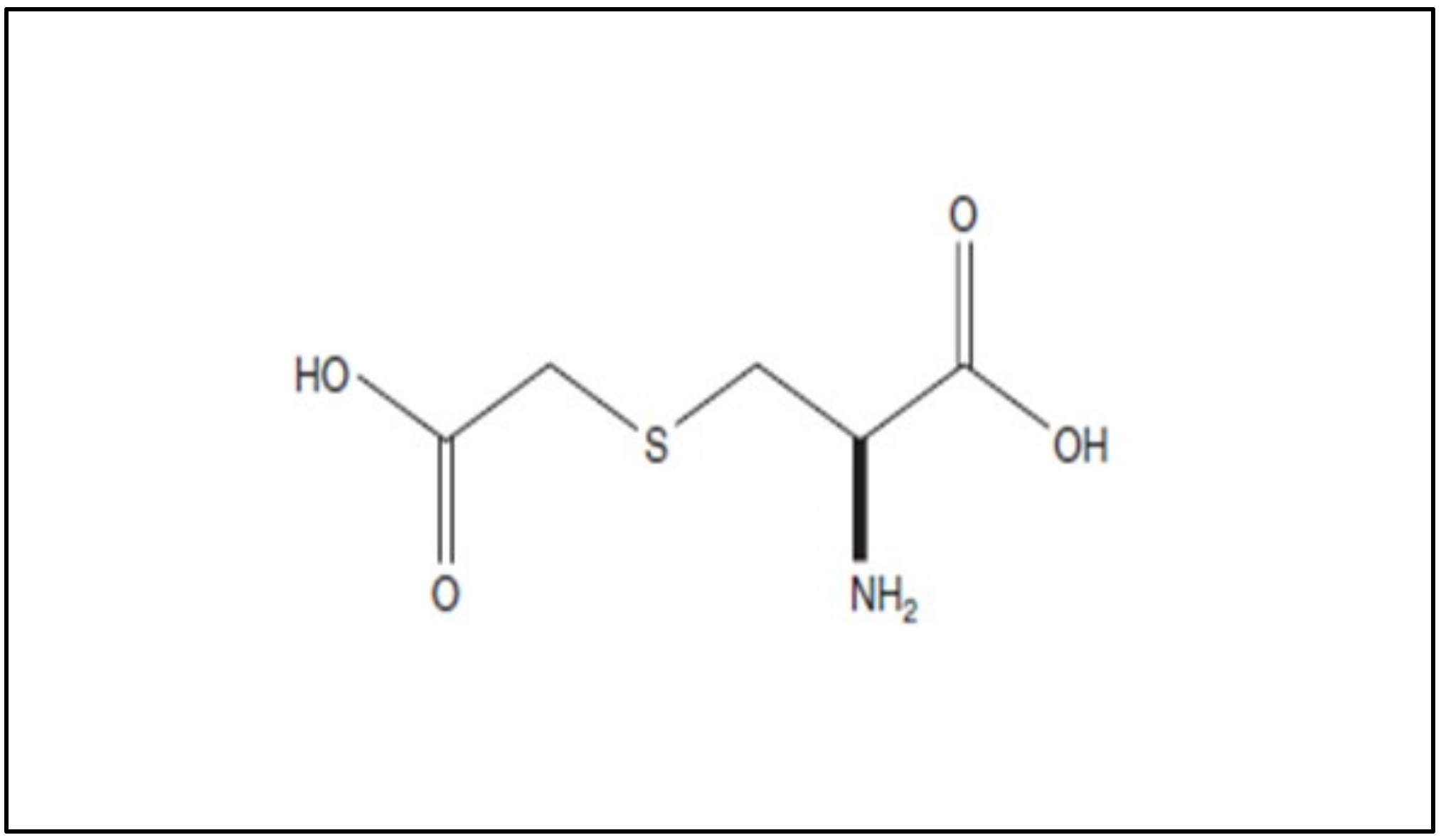 Pharmaceutics 14 01261 g002 550