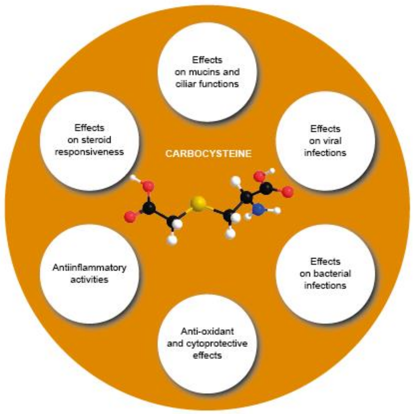 Pharmaceutics 14 01261 g004 550