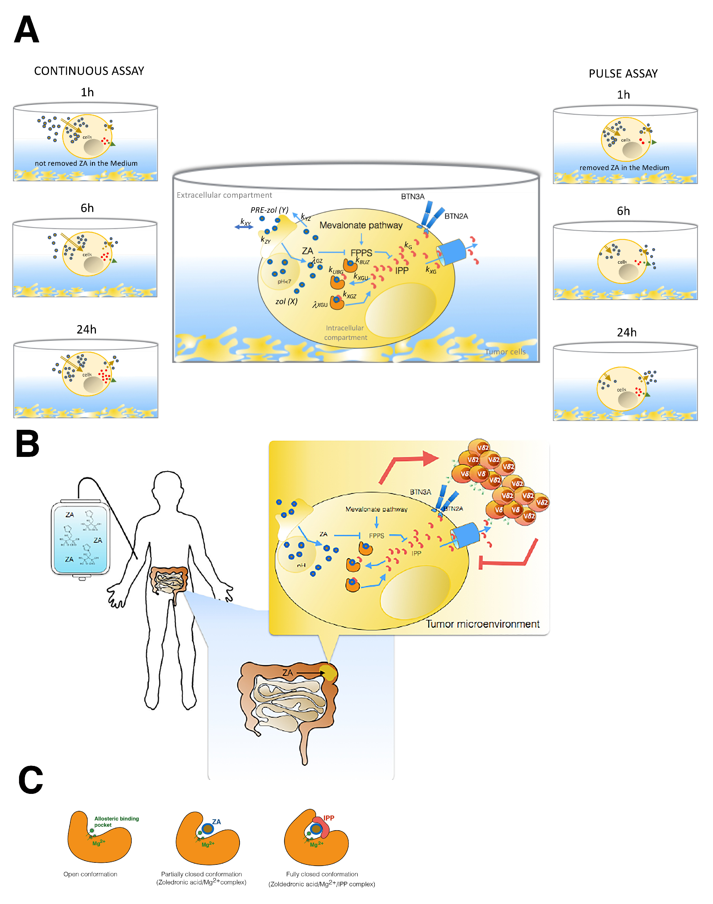 Pharmaceutics 14 01262 g006 Pharmaceutics 14 01262 g006