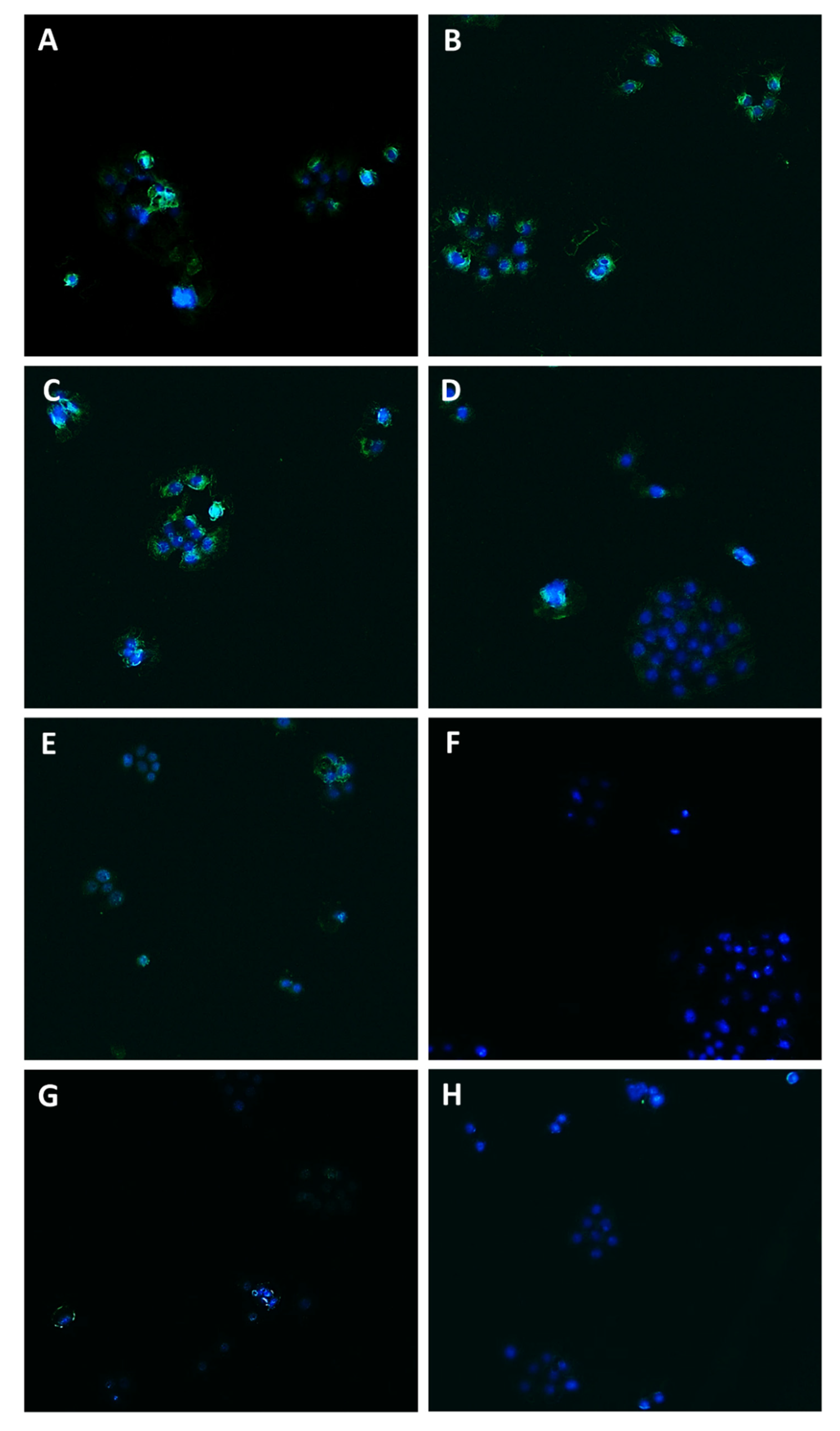 Pharmaceutics 14 01264 g009 550