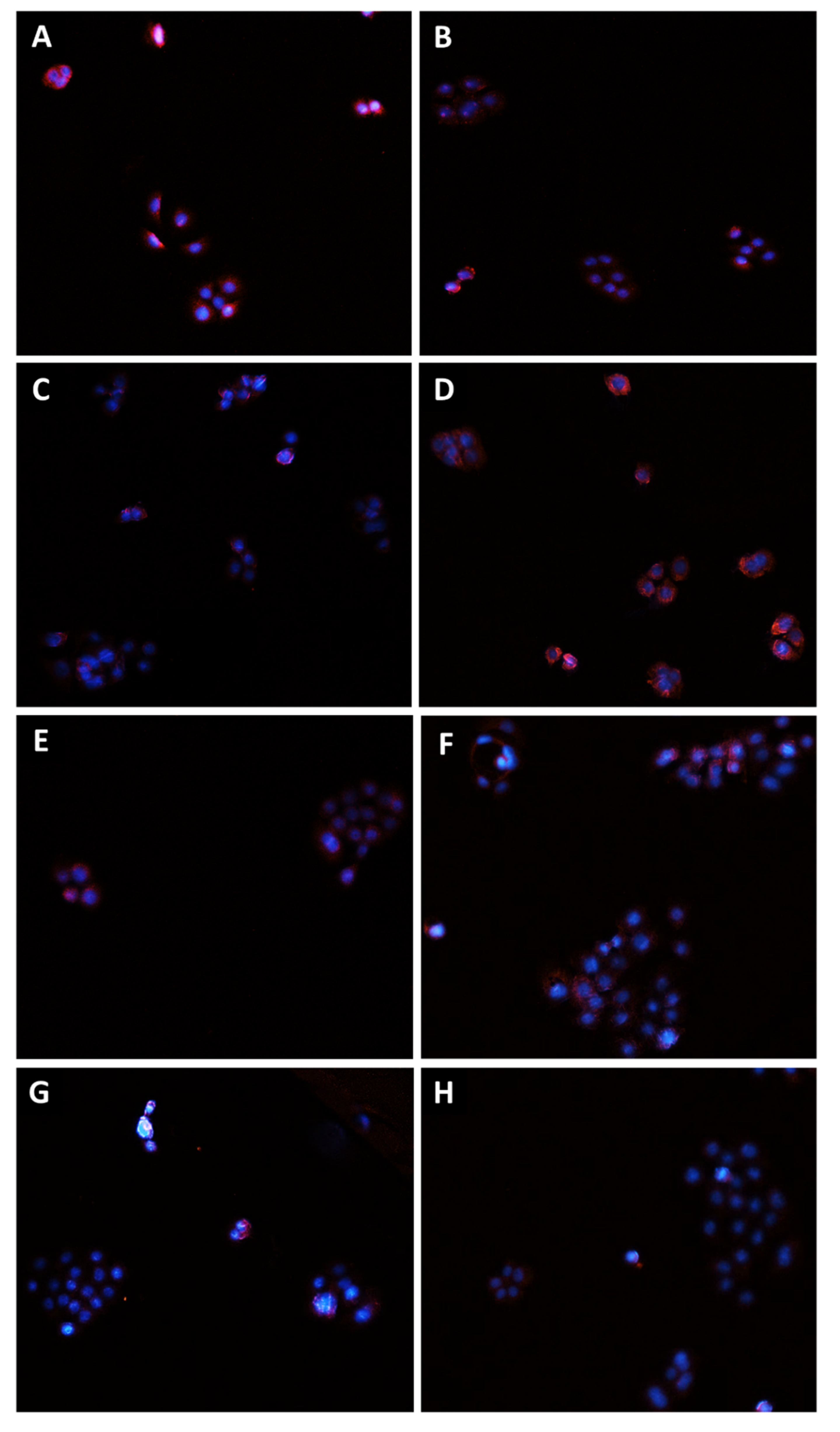 Pharmaceutics 14 01264 g010 550
