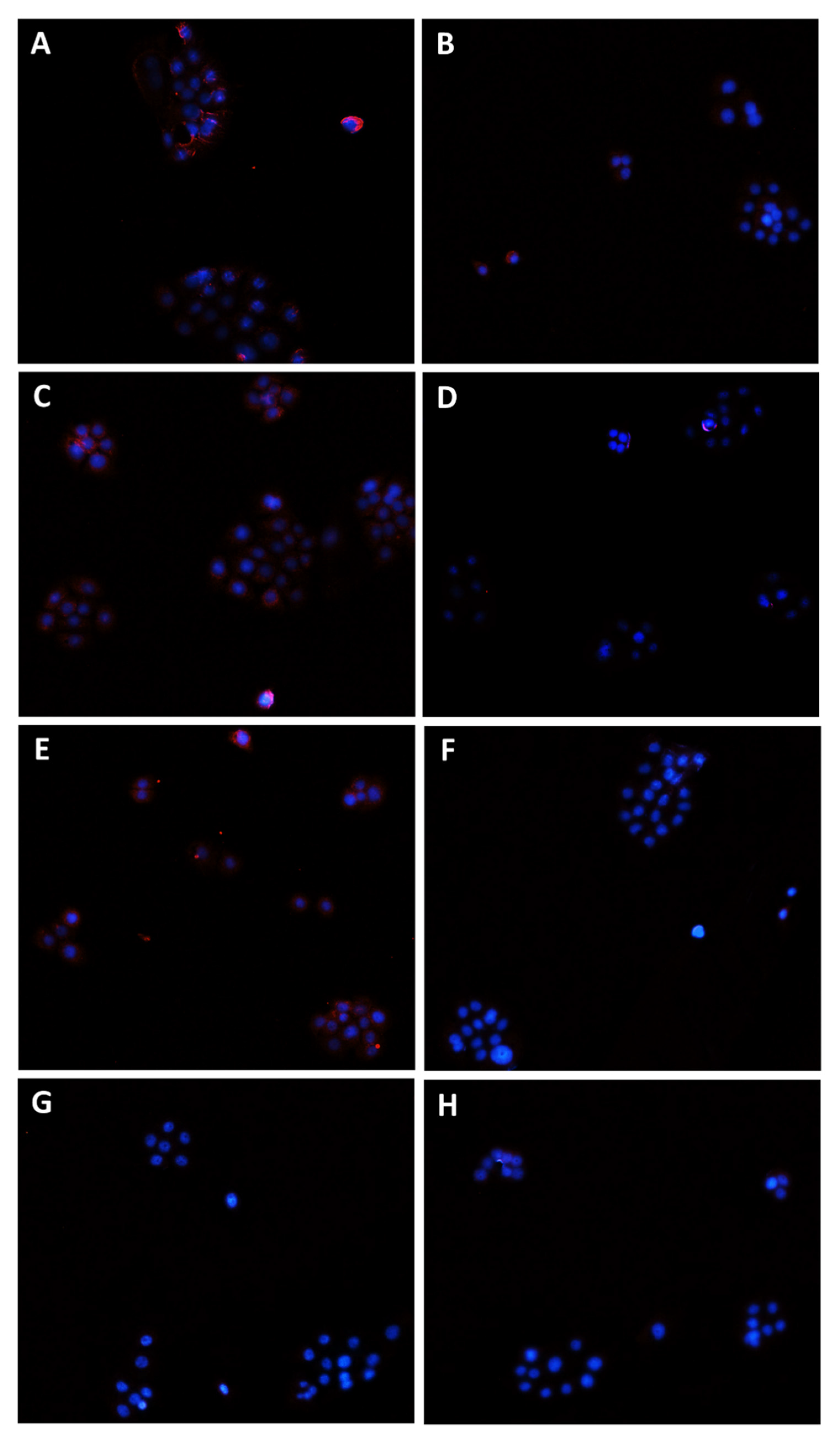 Pharmaceutics 14 01264 g011 550