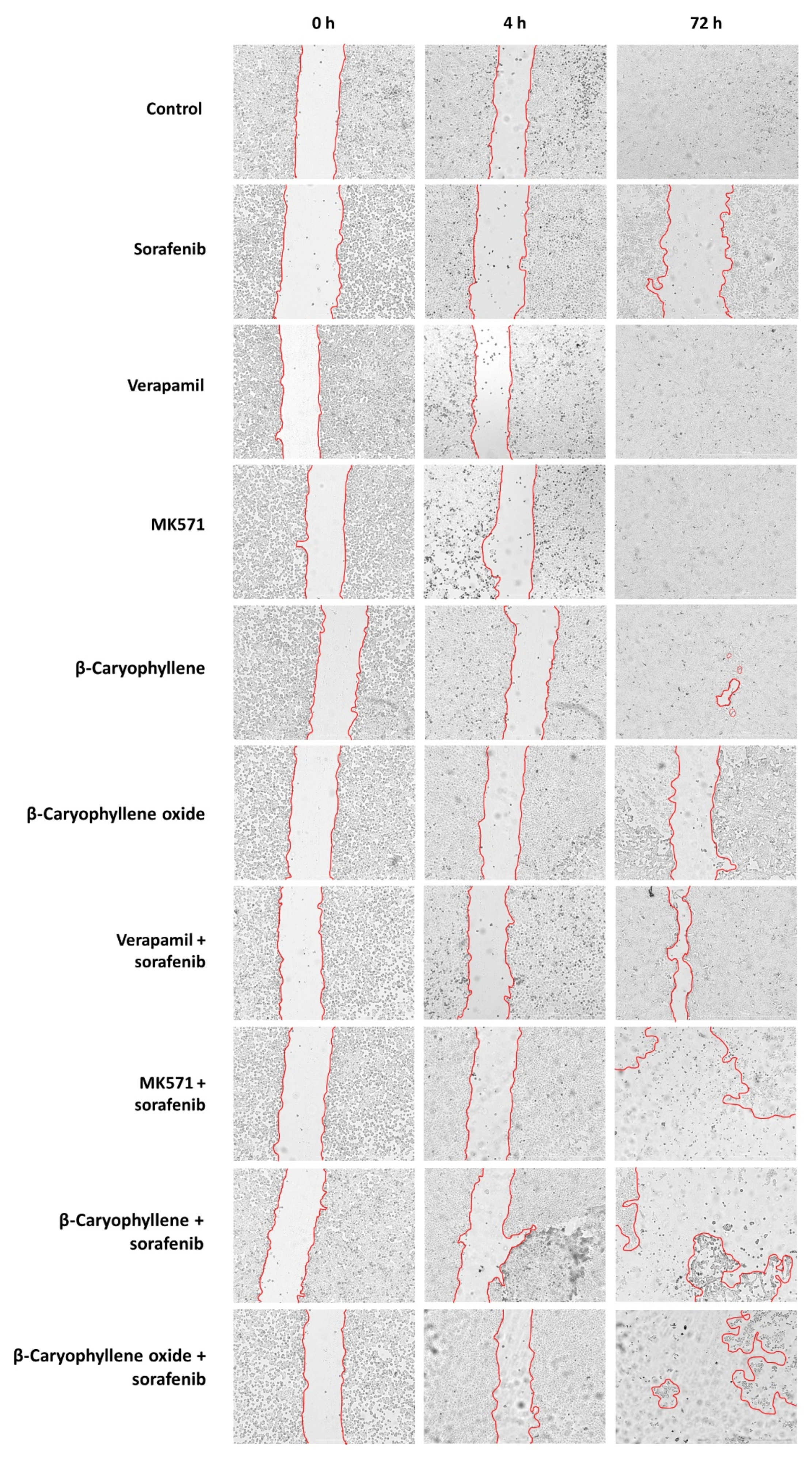 Pharmaceutics 14 01264 g014 550
