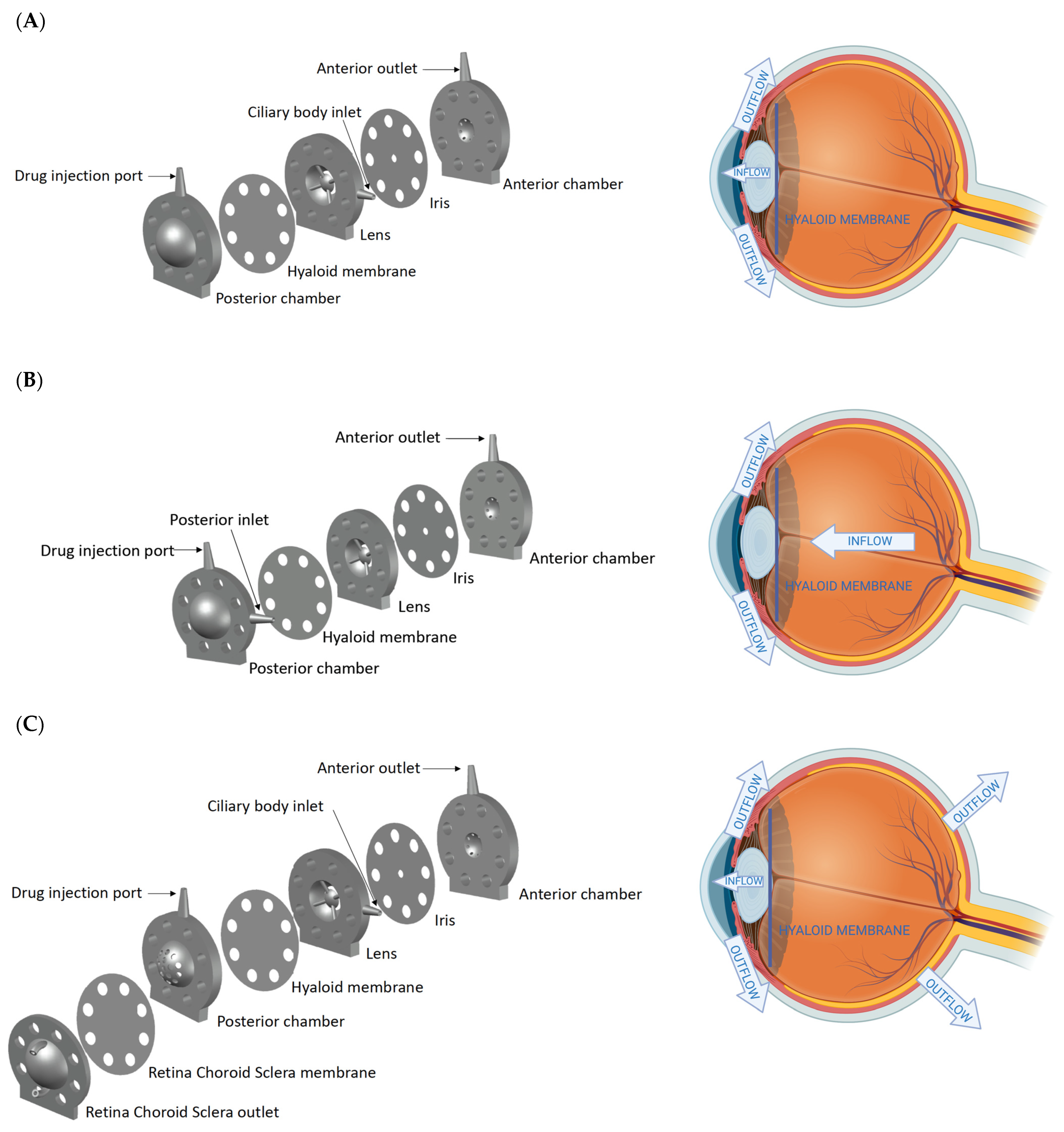 Pharmaceutics 14 01267 g001