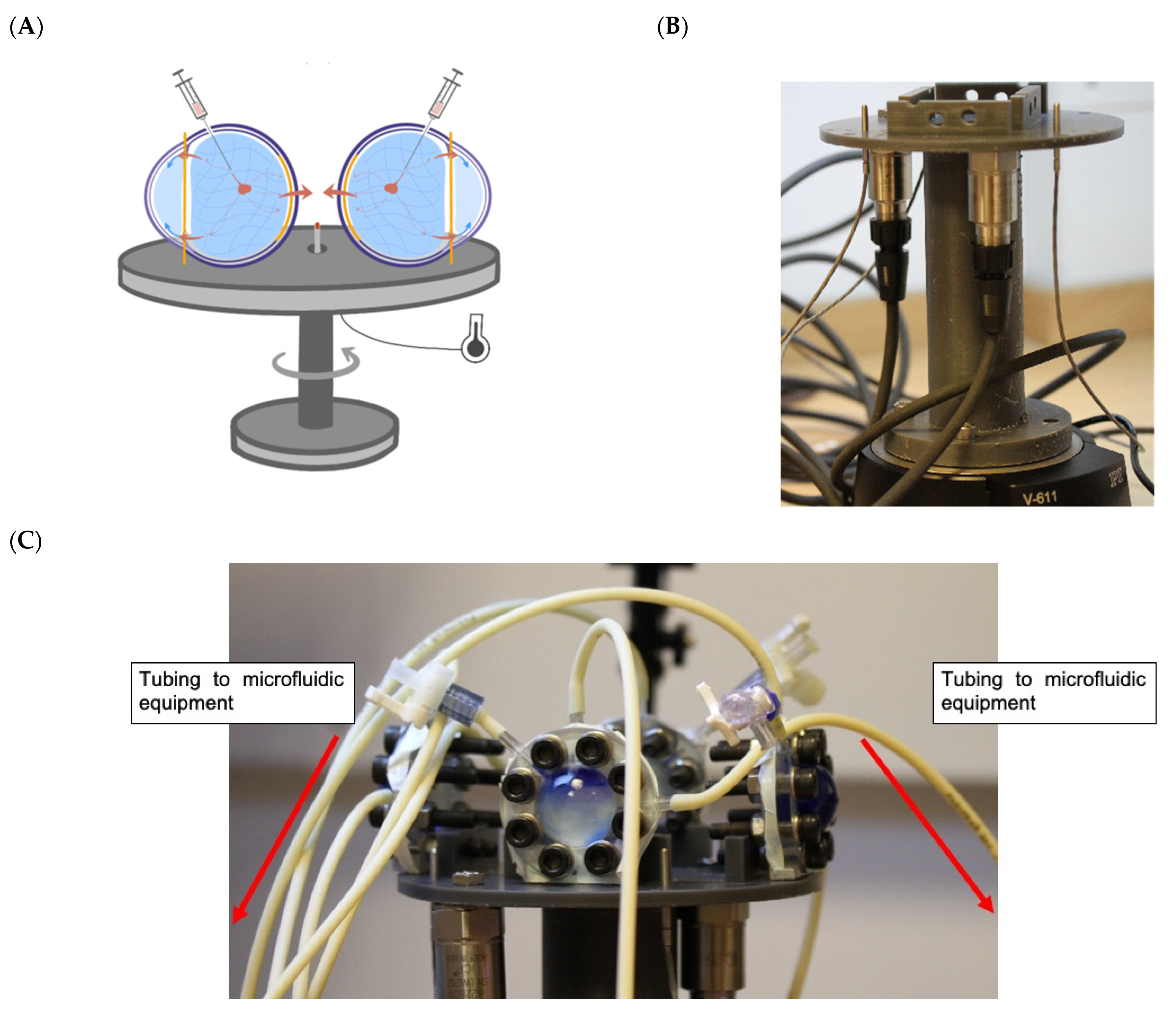 Pharmaceutics 14 01267 g003