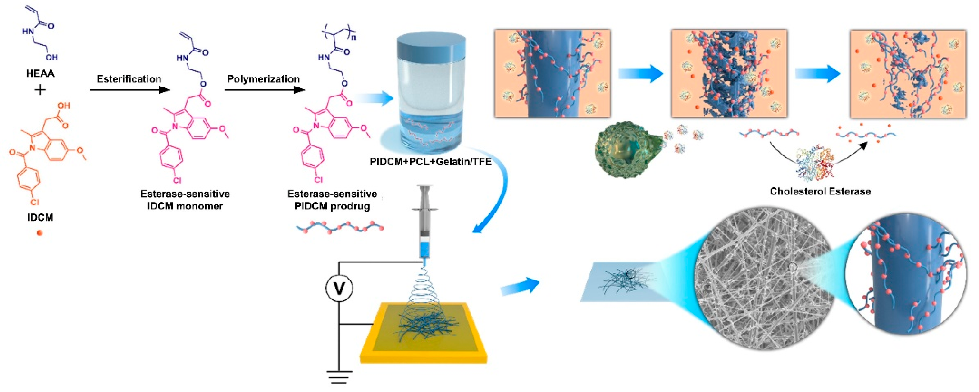 Pharmaceutics 14 01273 g001