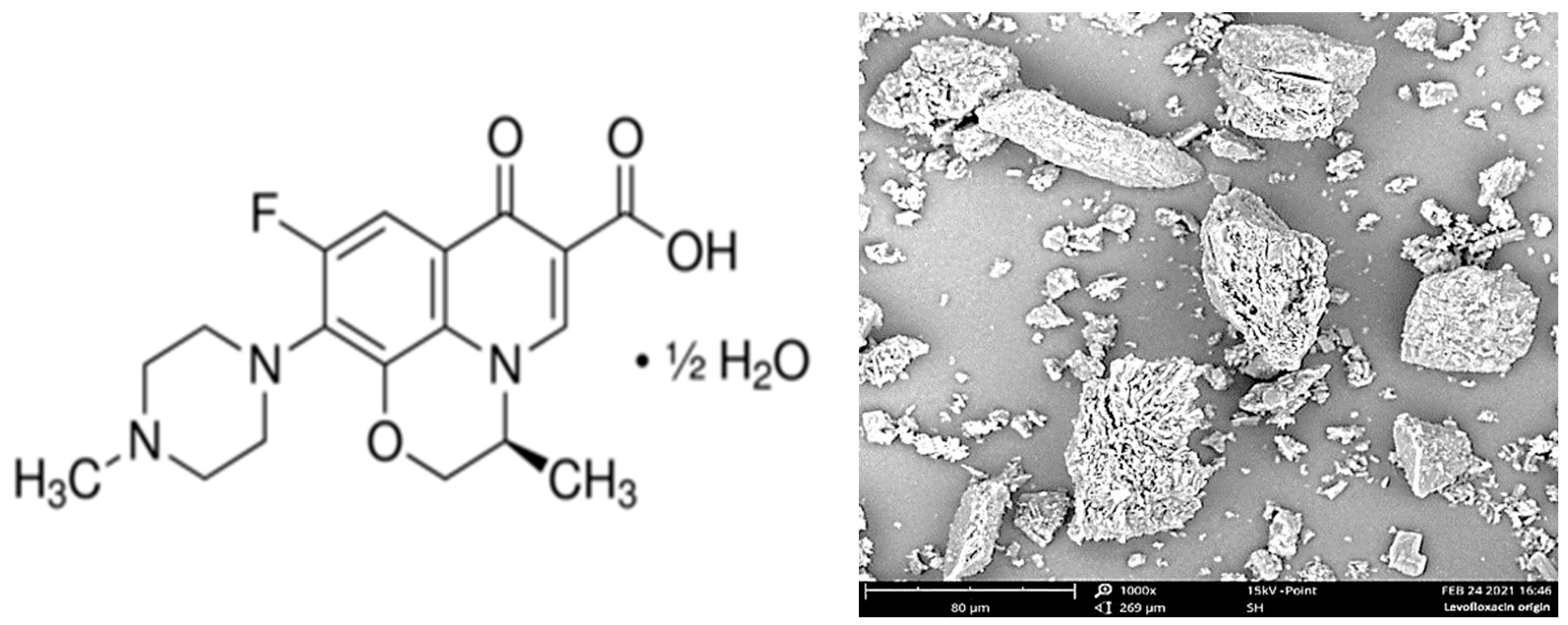 Pharmaceutics 14 01275 g001 550