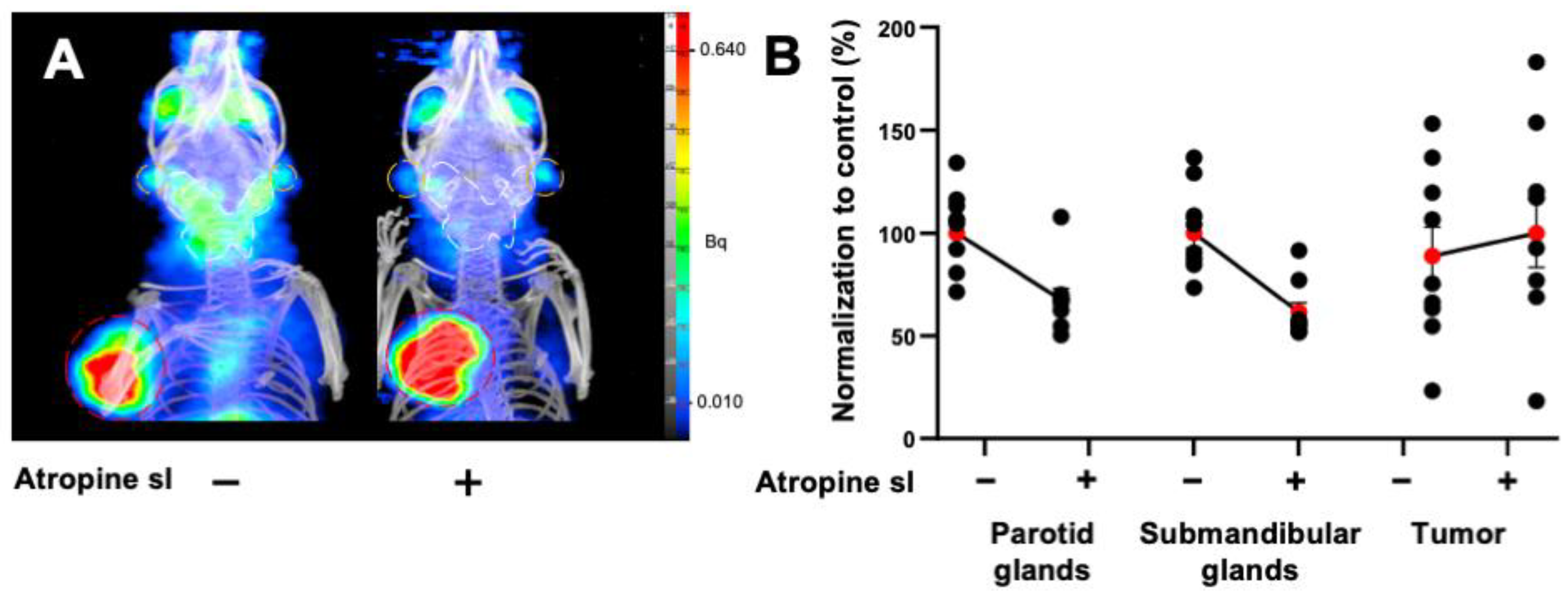 Pharmaceutics 14 01276 g003 Pharmaceutics 14 01276 g003