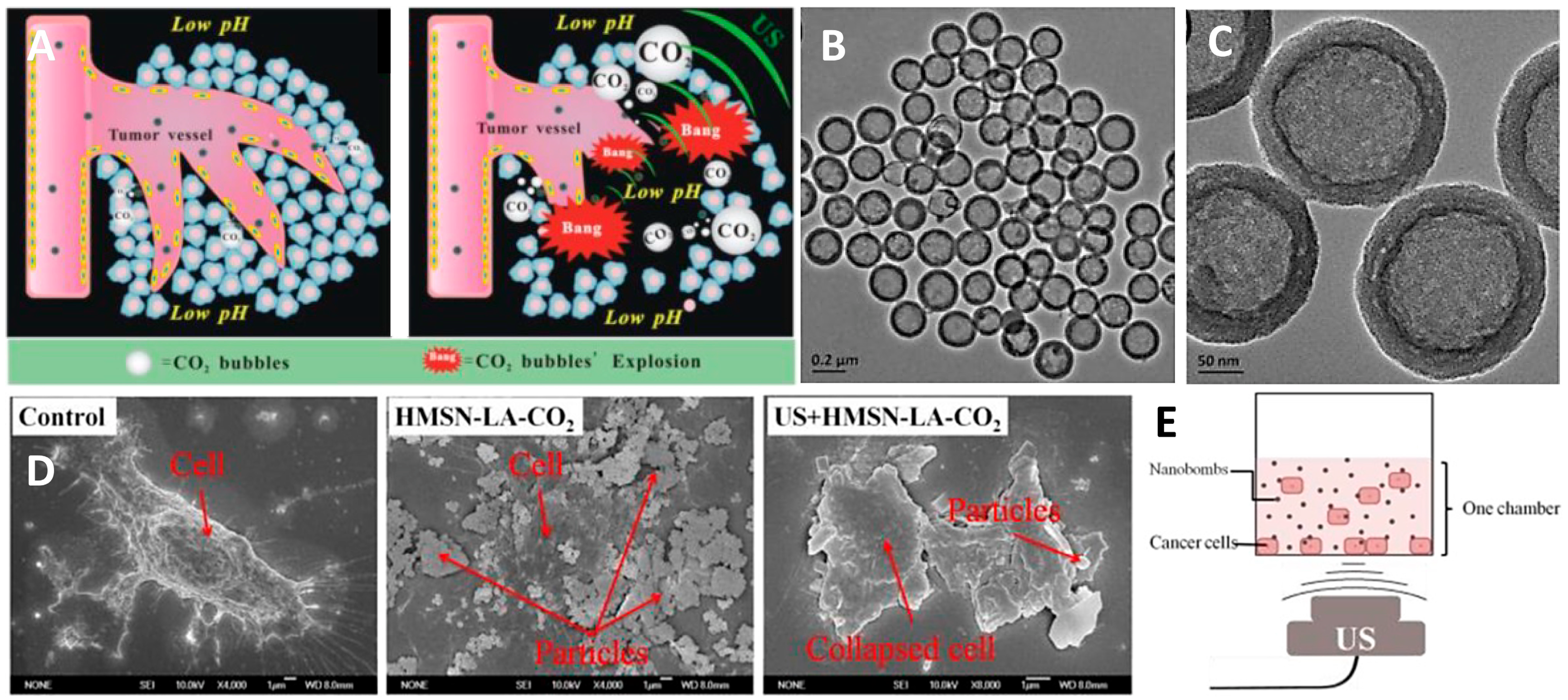 Pharmaceutics 14 01282 g005 Pharmaceutics 14 01282 g005