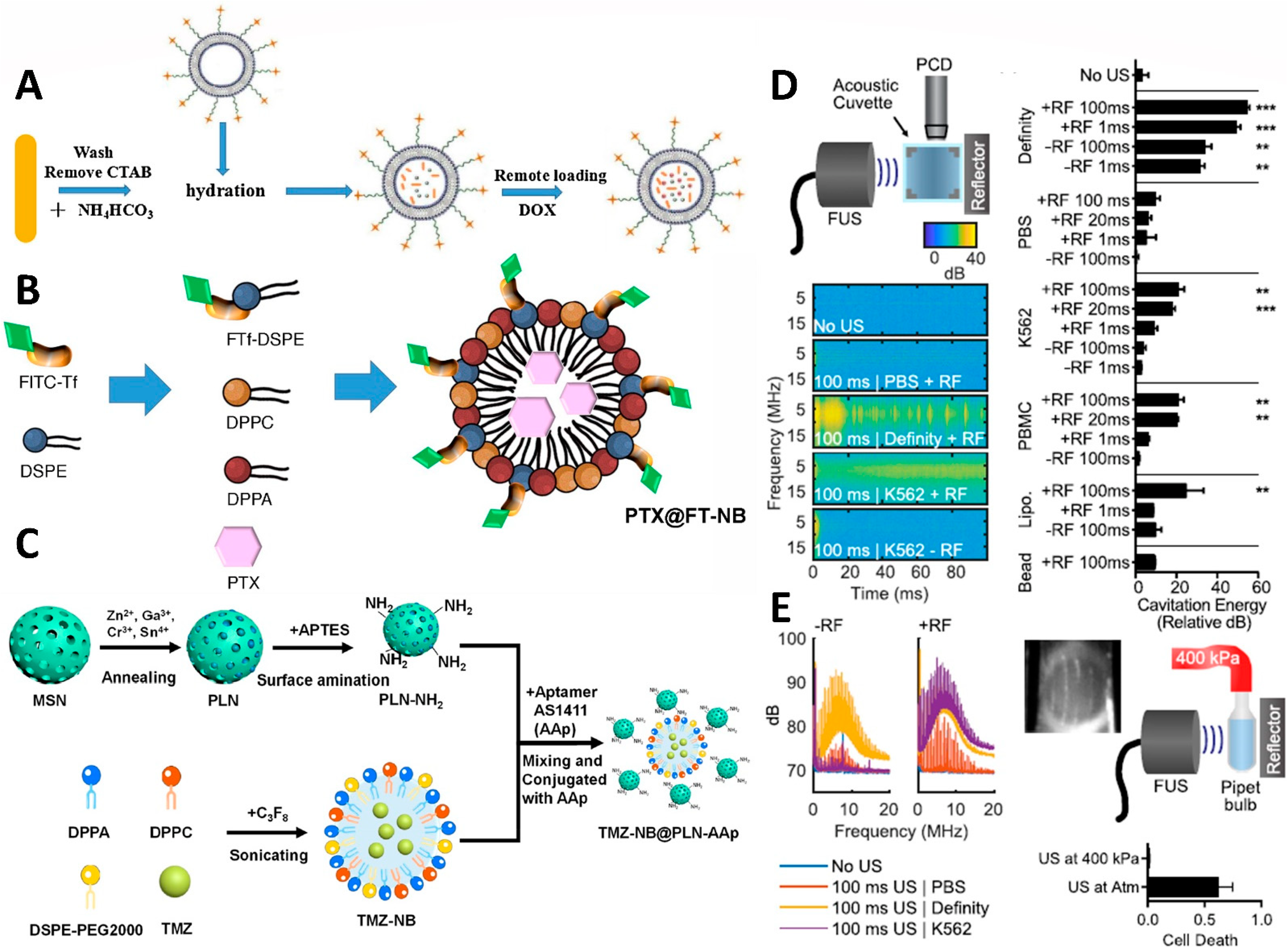Pharmaceutics 14 01282 g008 Pharmaceutics 14 01282 g008