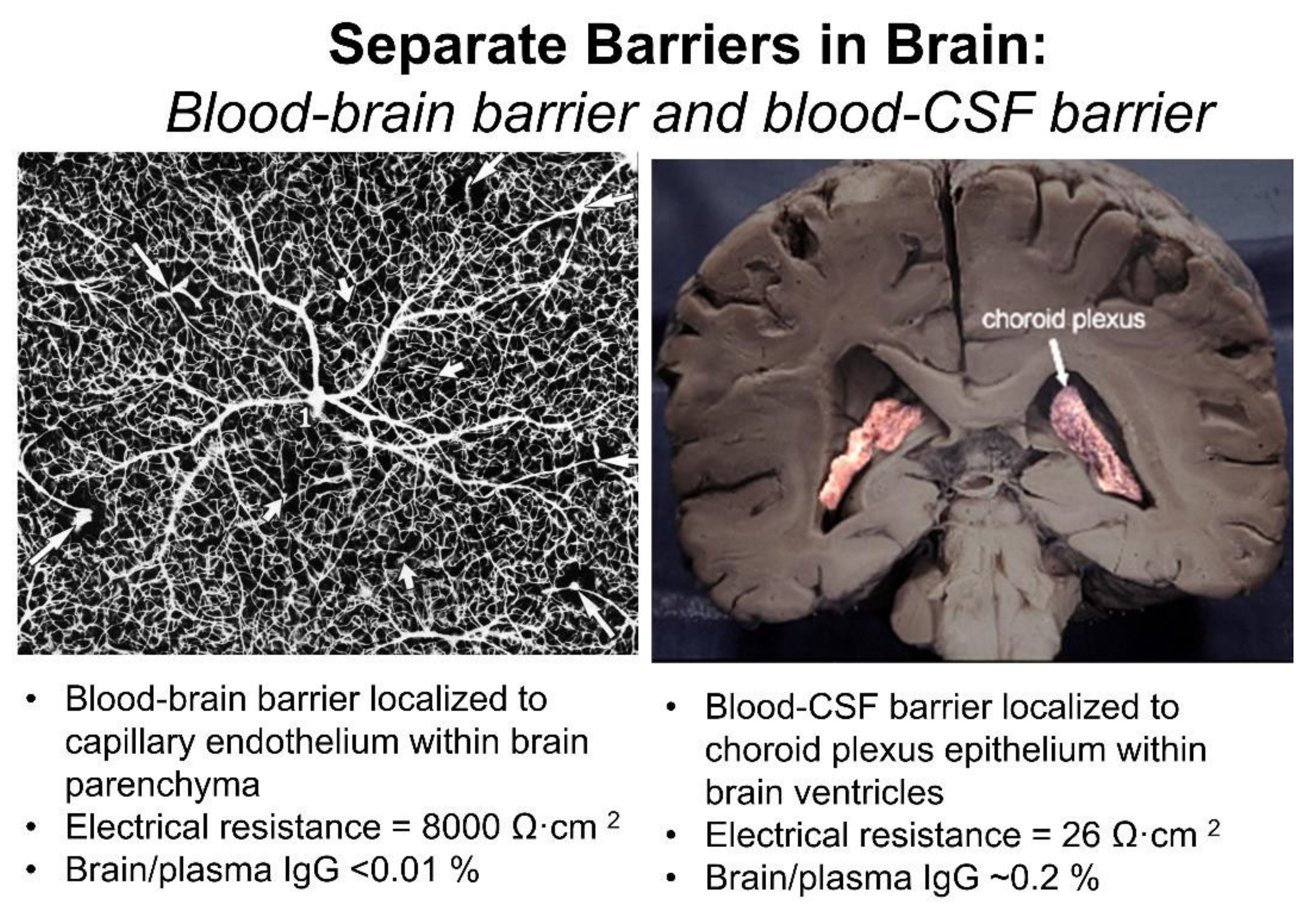 Pharmaceutics 14 01283 g003 Pharmaceutics 14 01283 g003