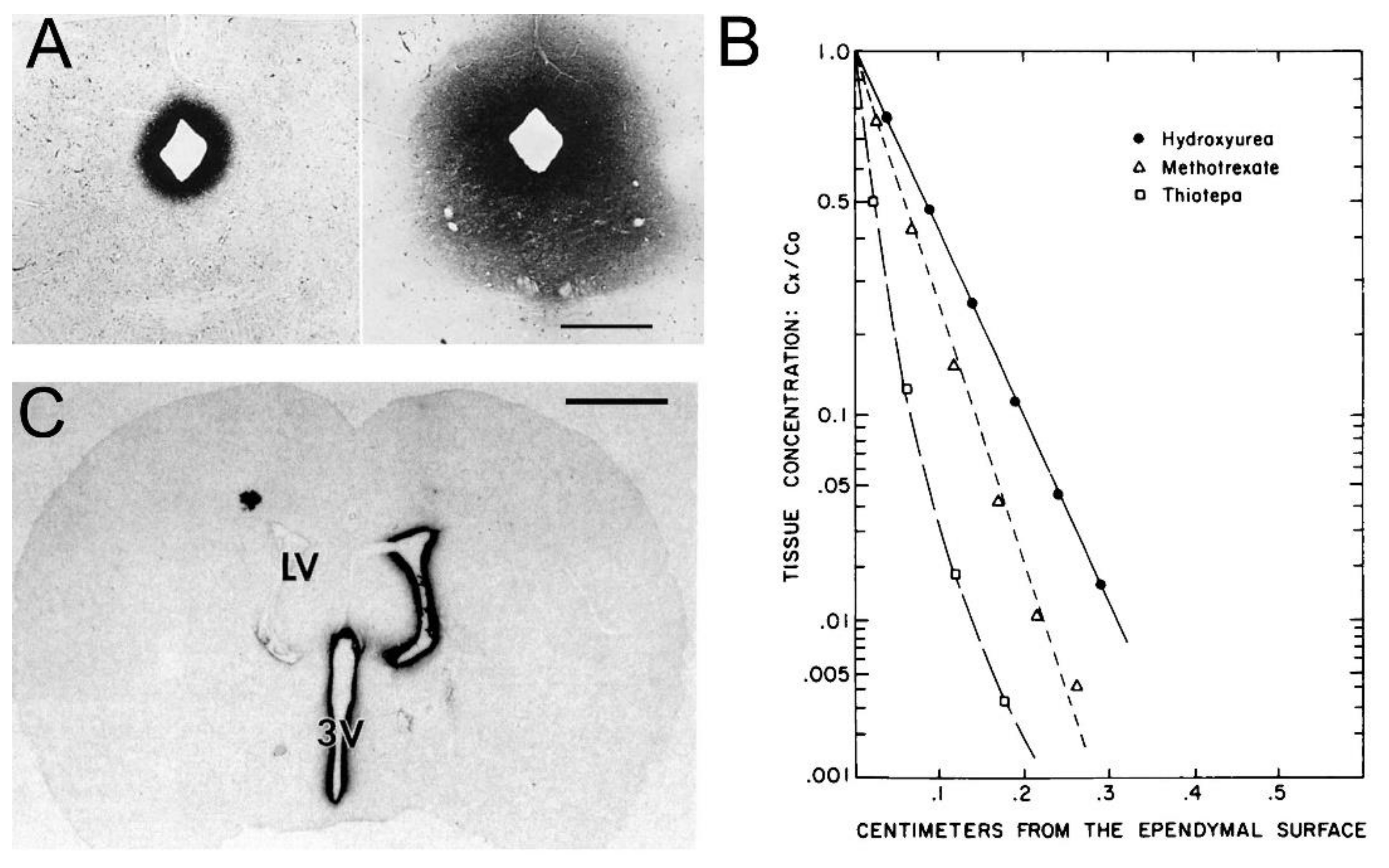 Pharmaceutics 14 01283 g005 Pharmaceutics 14 01283 g005