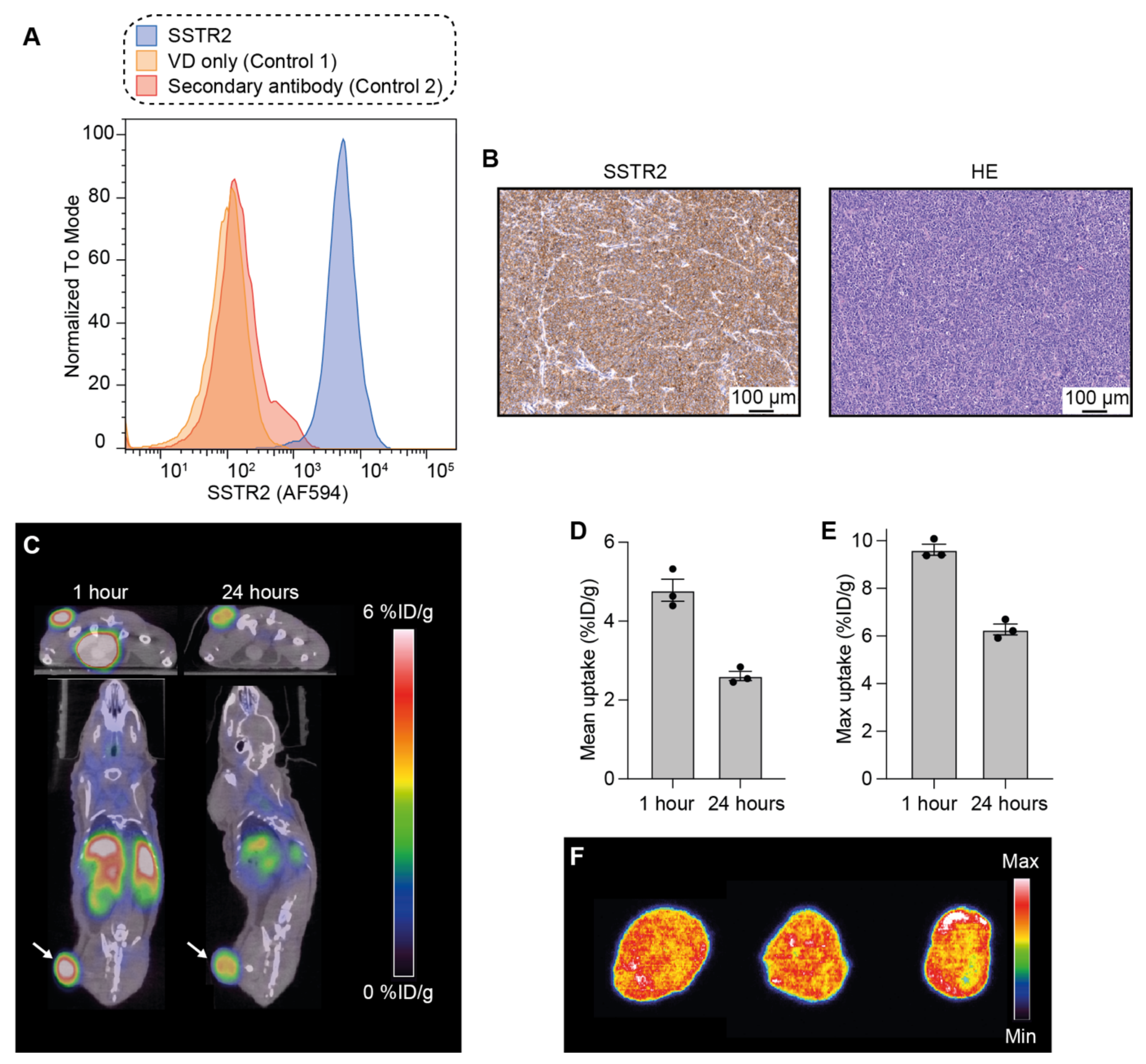 Pharmaceutics 14 01284 g001 Pharmaceutics 14 01284 g001