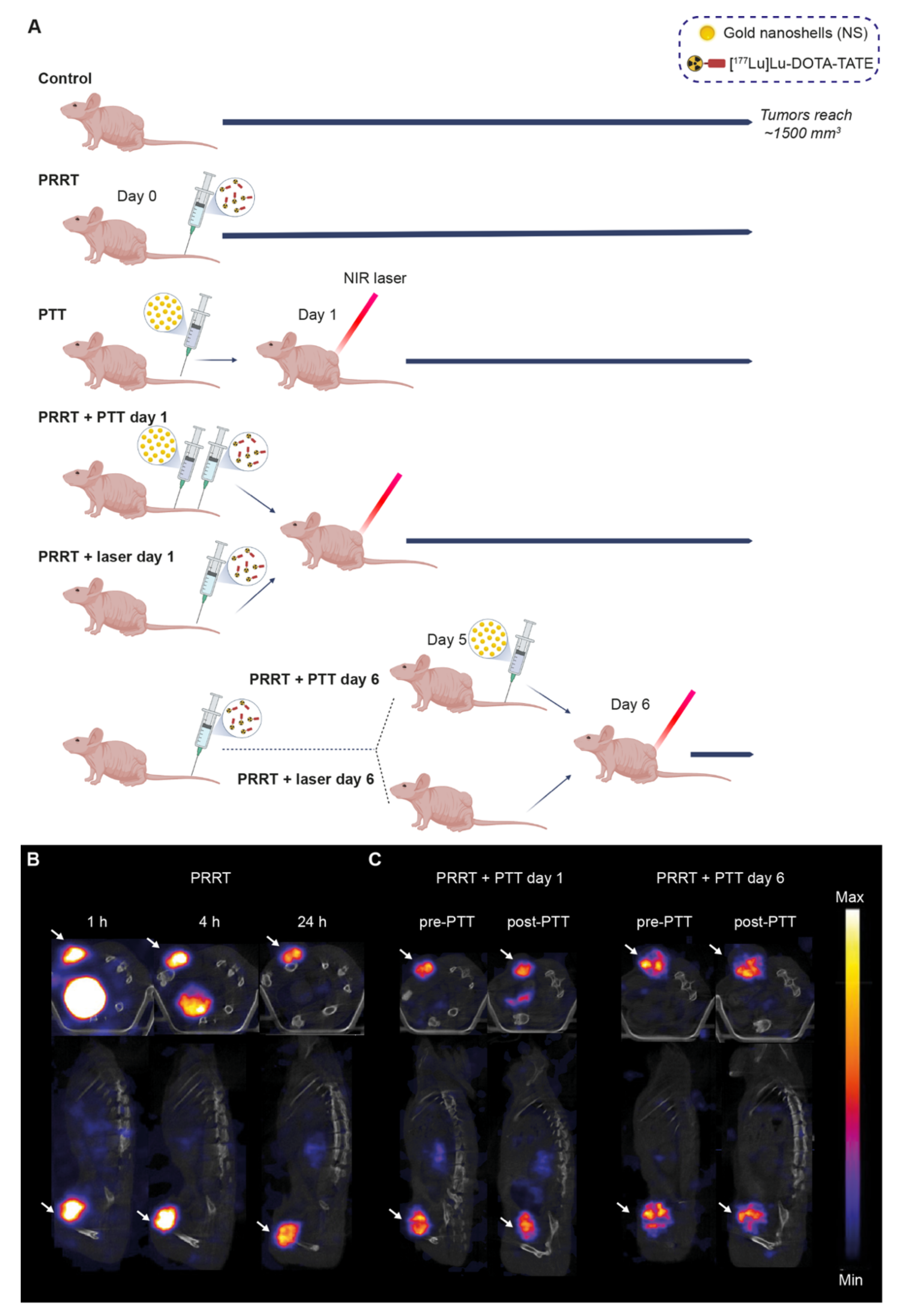 Pharmaceutics 14 01284 g002 Pharmaceutics 14 01284 g002