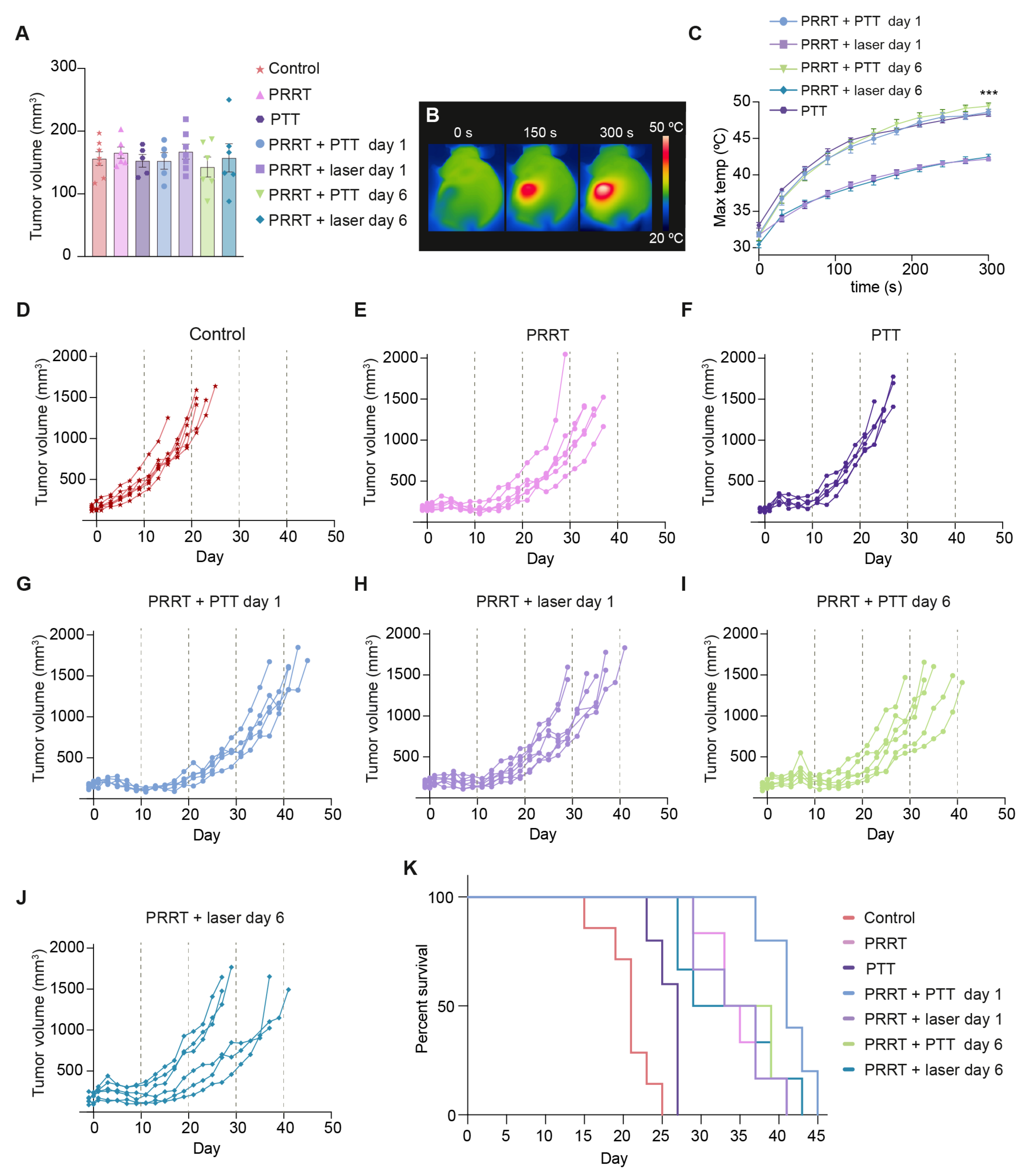 Pharmaceutics 14 01284 g003 Pharmaceutics 14 01284 g003