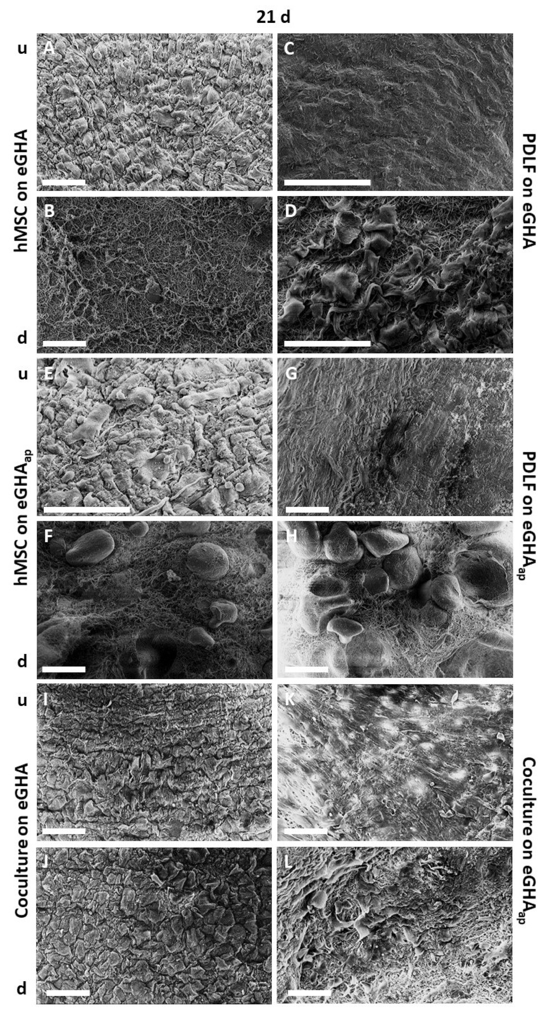Pharmaceutics 14 01286 g002 Pharmaceutics 14 01286 g002