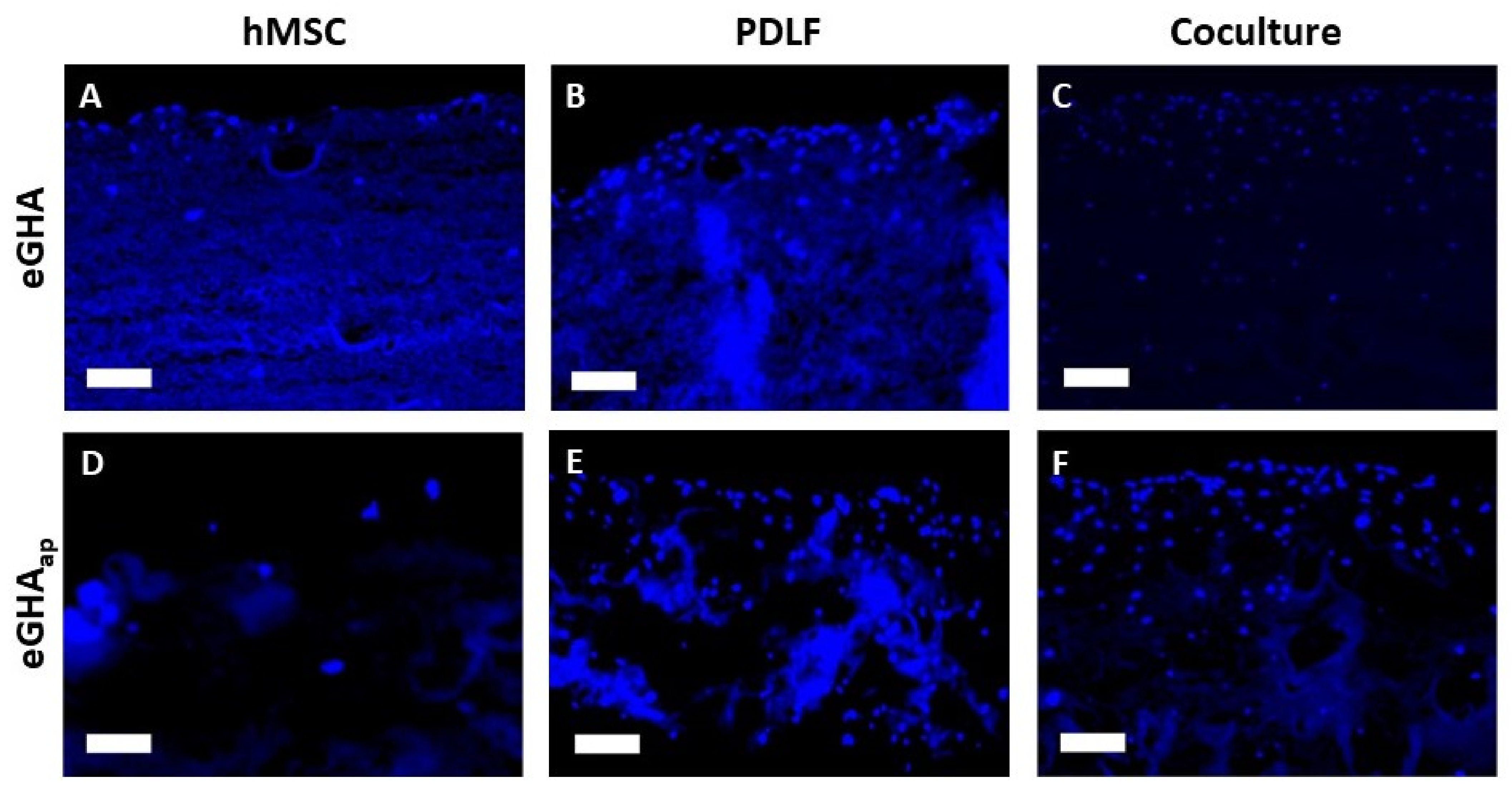 Pharmaceutics 14 01286 g003 Pharmaceutics 14 01286 g003
