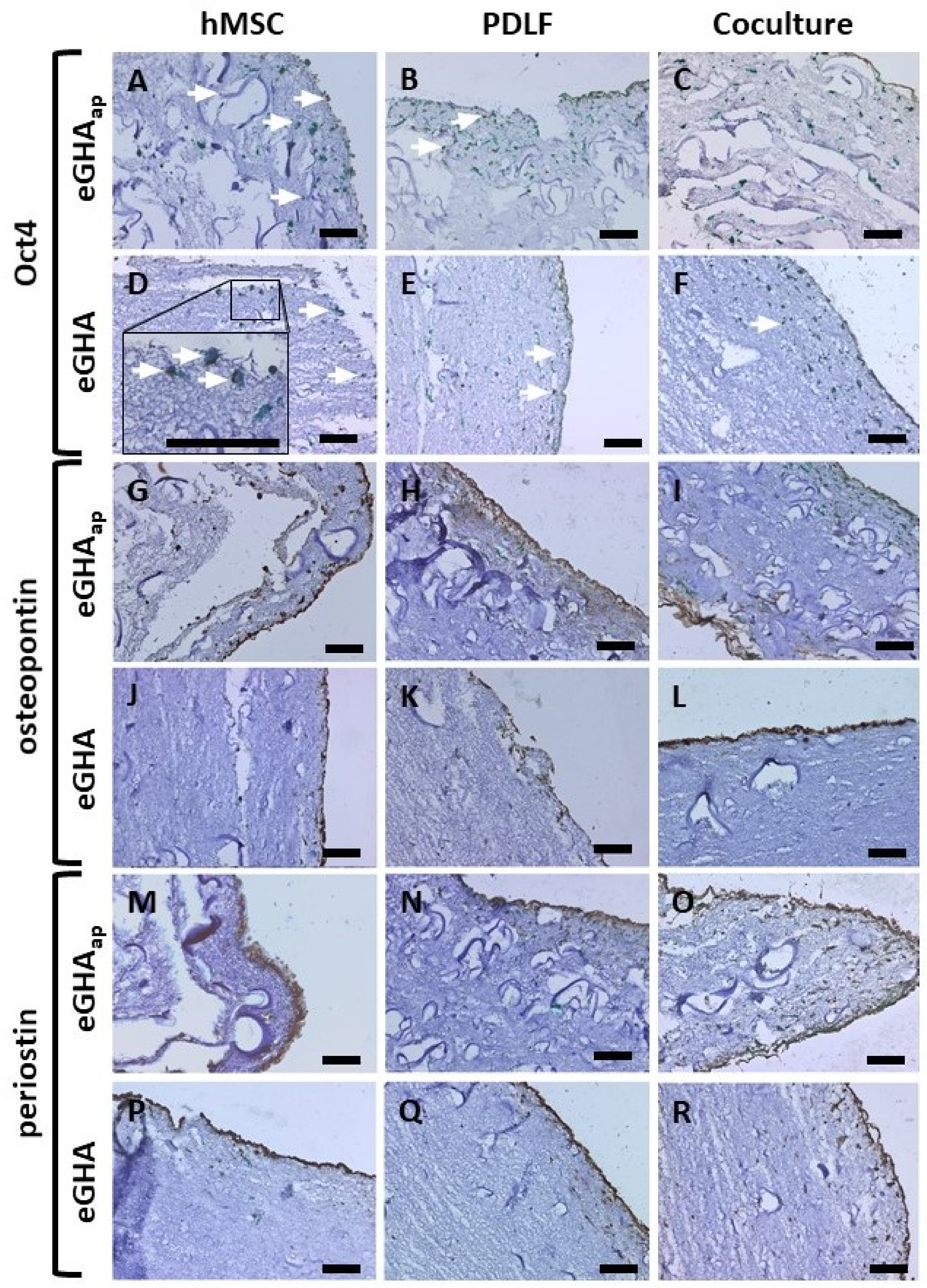 Pharmaceutics 14 01286 g006 Pharmaceutics 14 01286 g006