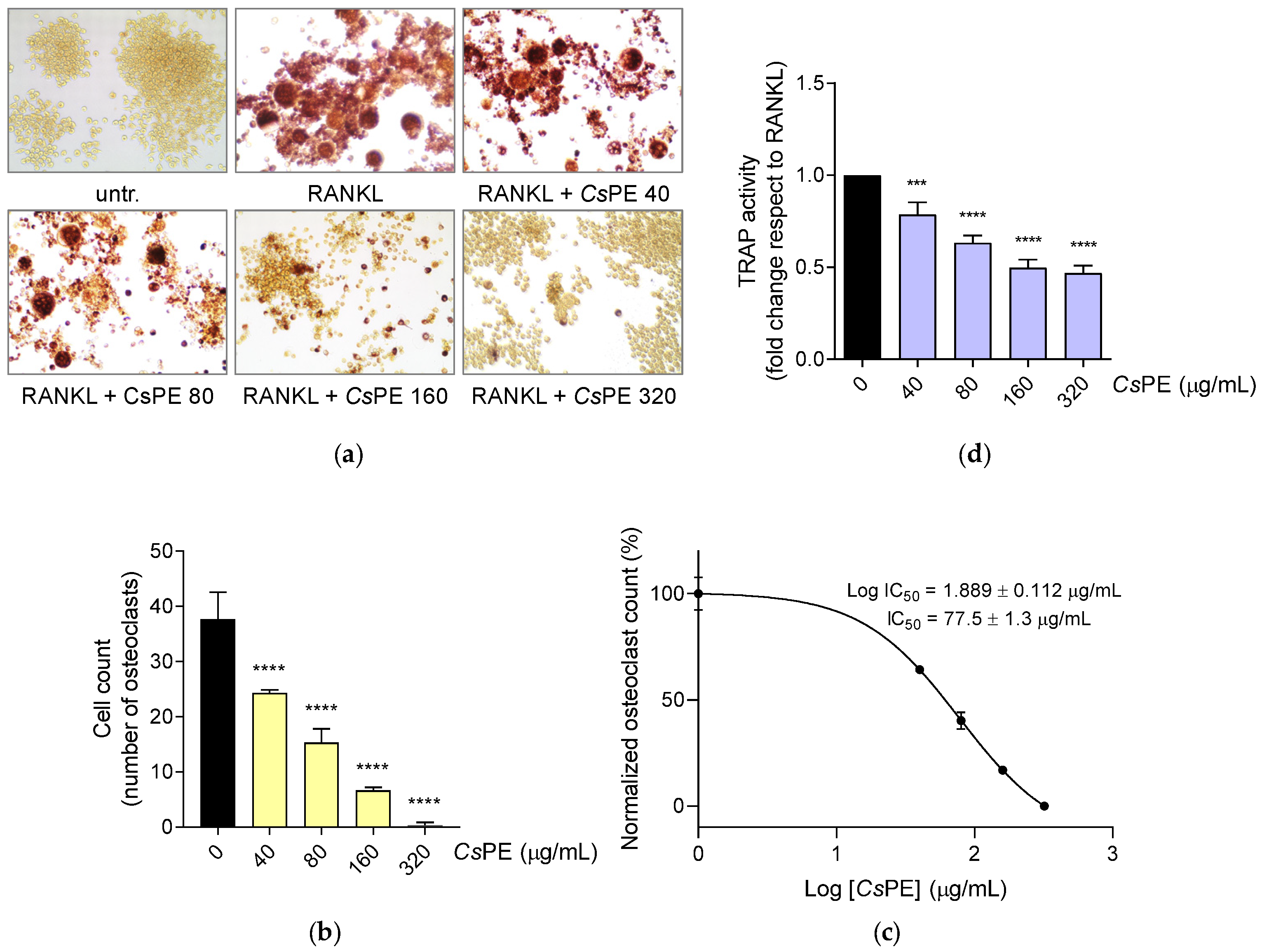 Pharmaceutics 14 01290 g006 550