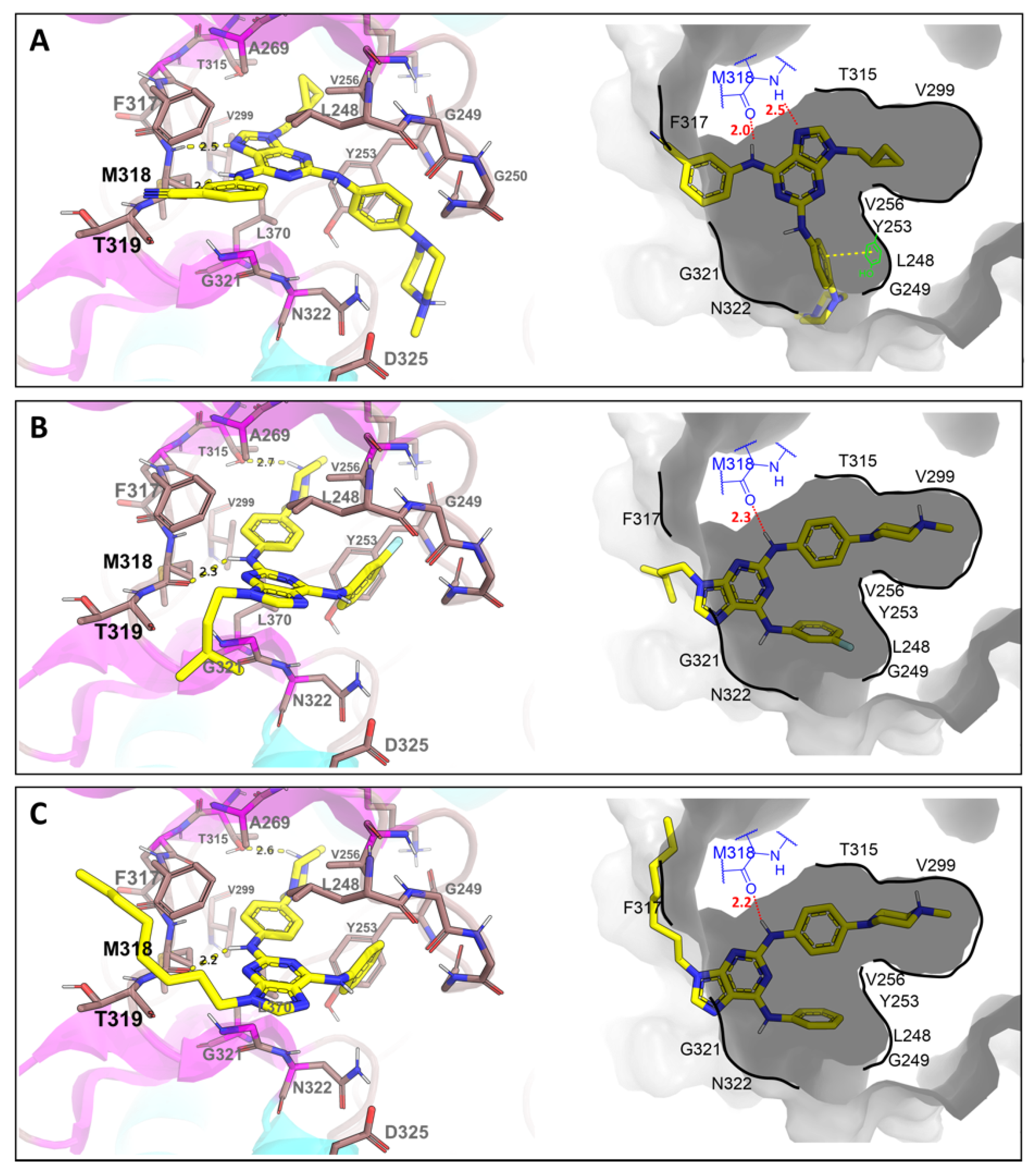 Pharmaceutics 14 01294 g008 550