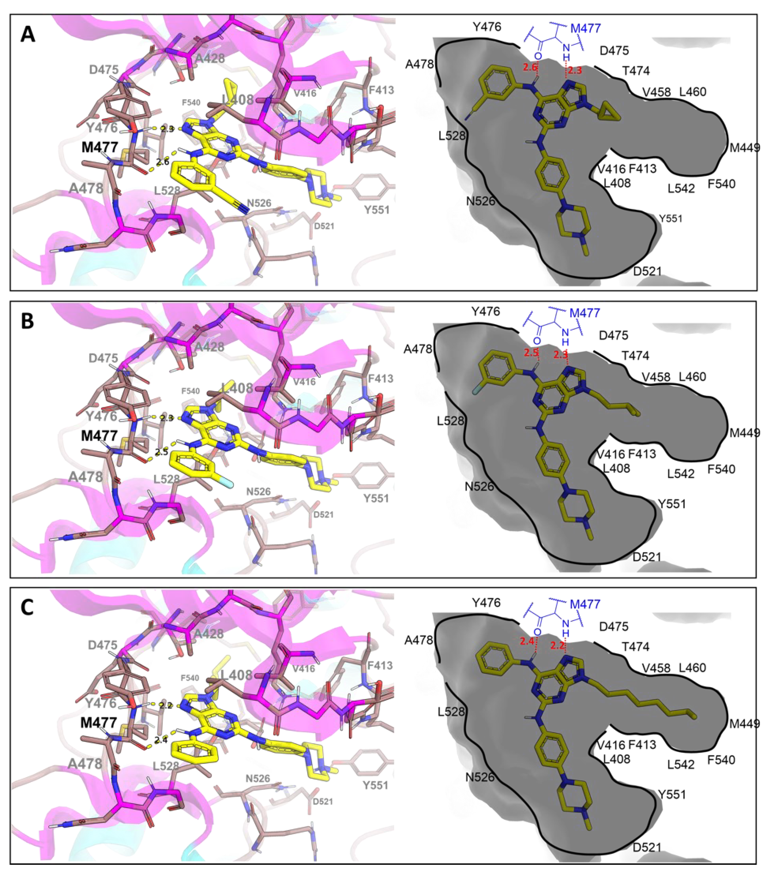 Pharmaceutics 14 01294 g009 550