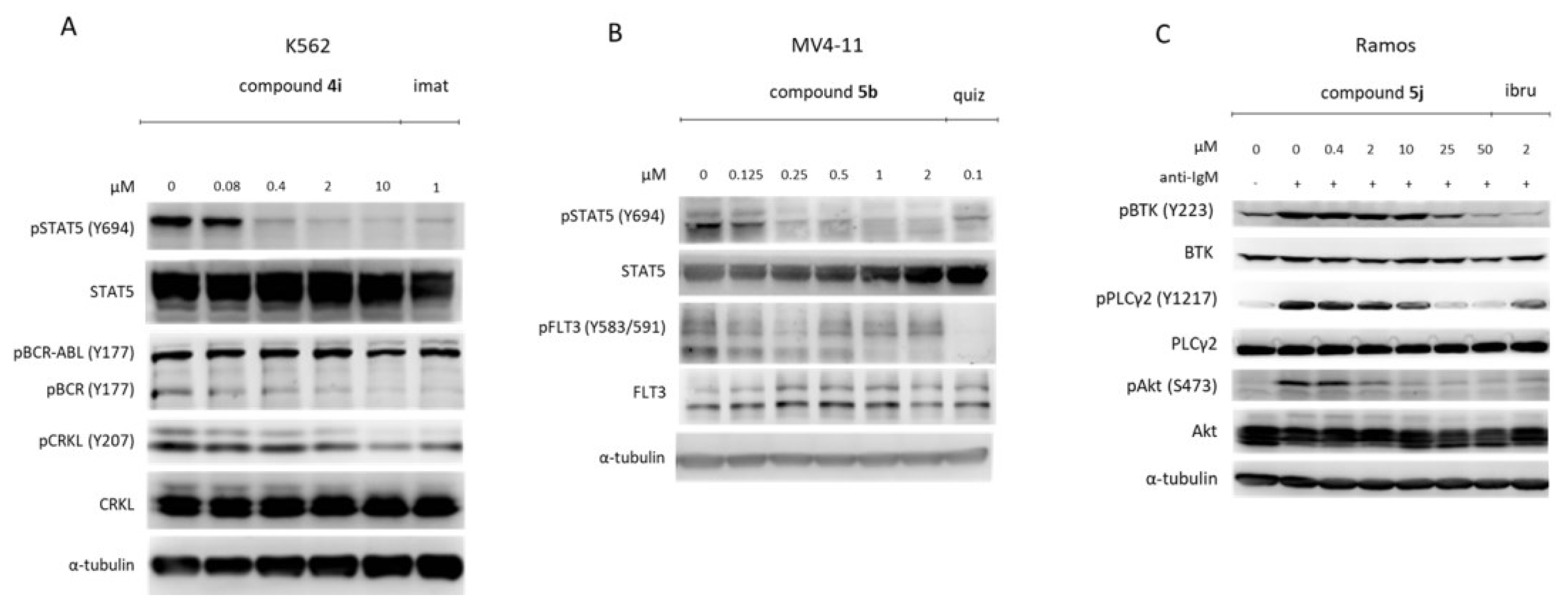 Pharmaceutics 14 01294 g012 550