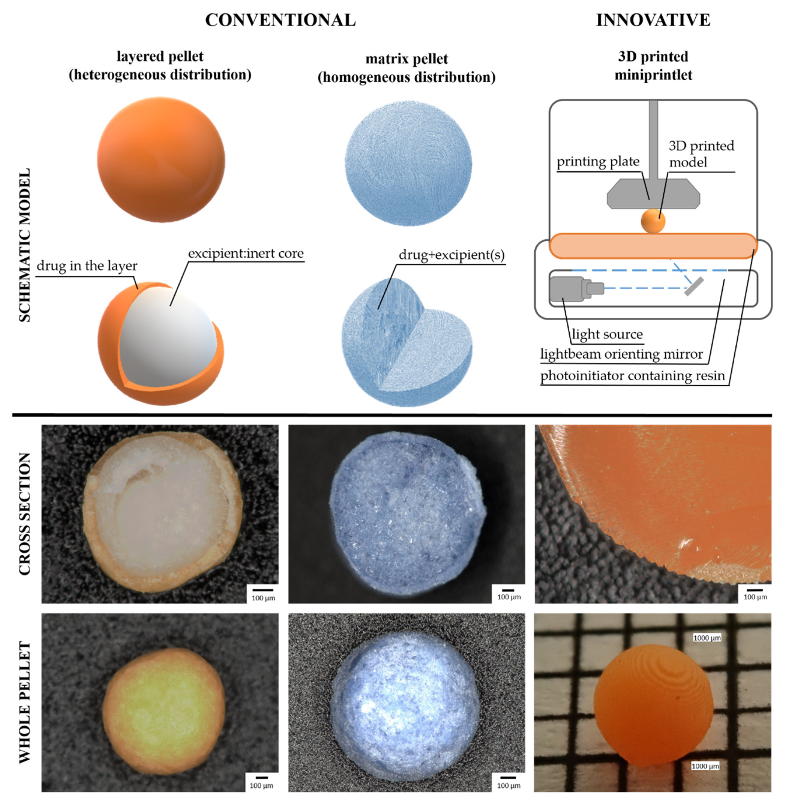 Pharmaceutics 14 01299 g001