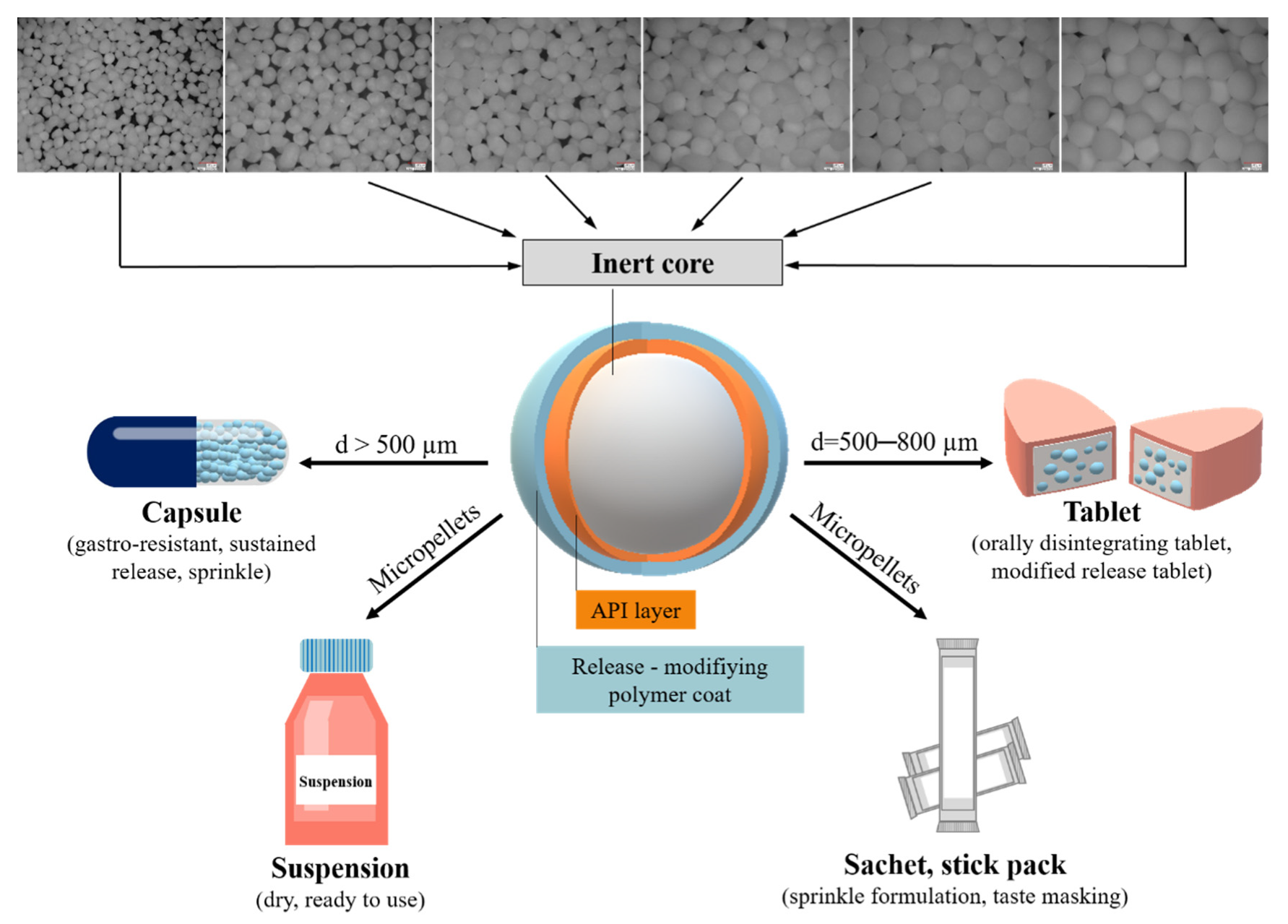 Pharmaceutics 14 01299 g004