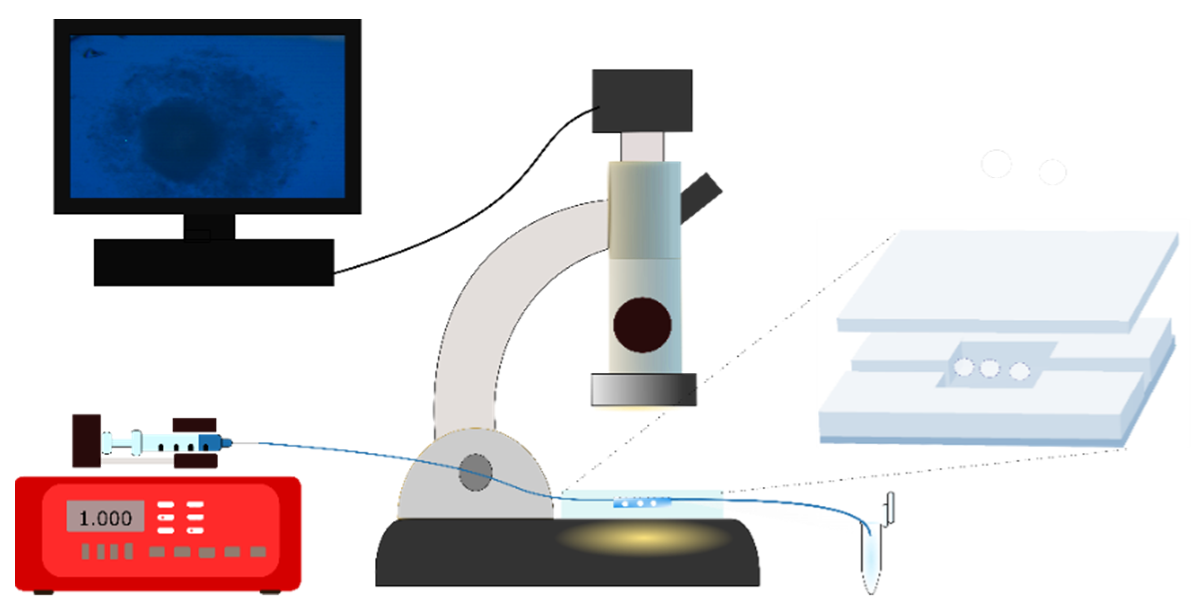 Pharmaceutics 14 01299 g008