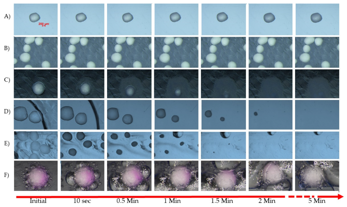Pharmaceutics 14 01299 g009