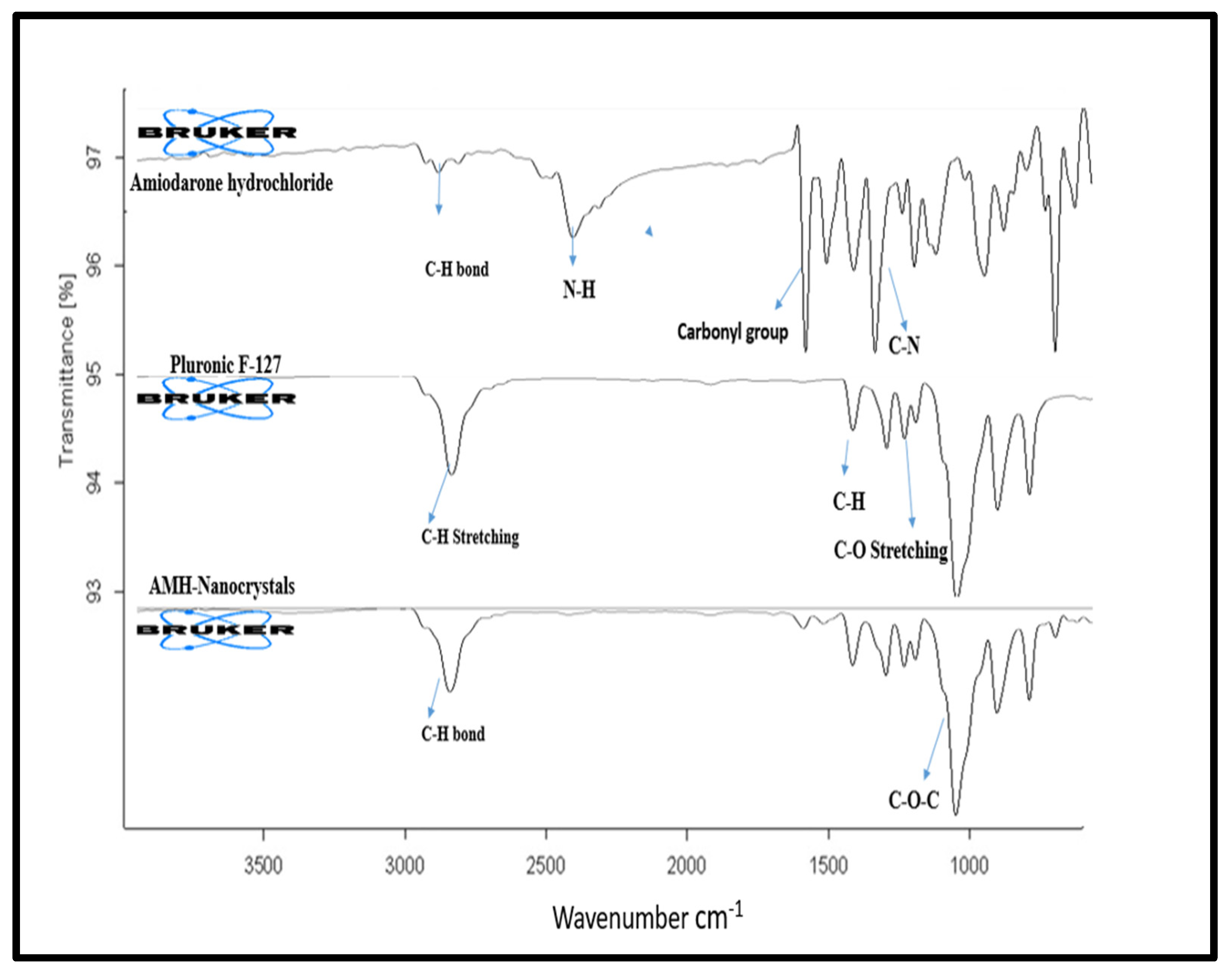 Pharmaceutics 14 01300 g002