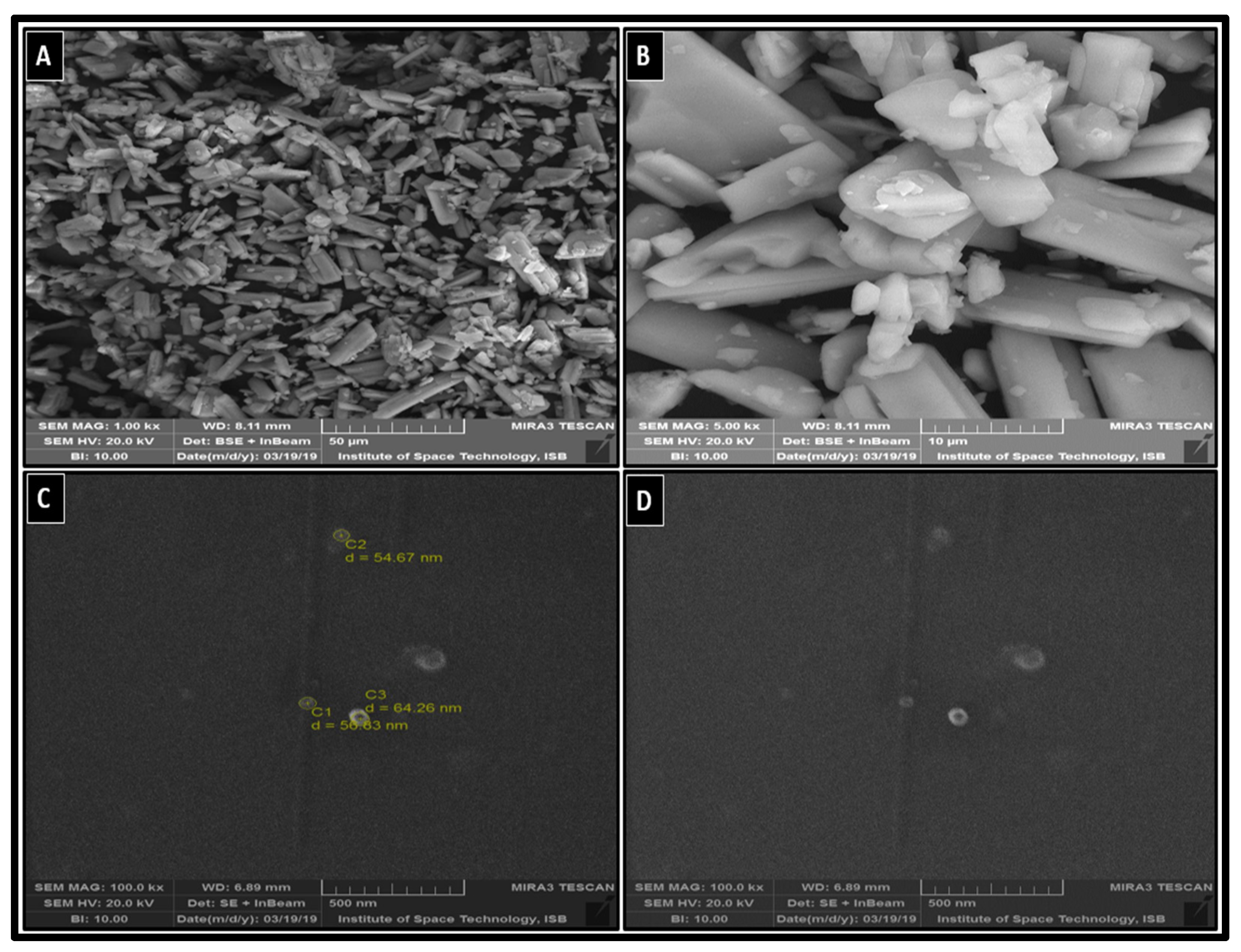 Pharmaceutics 14 01300 g003