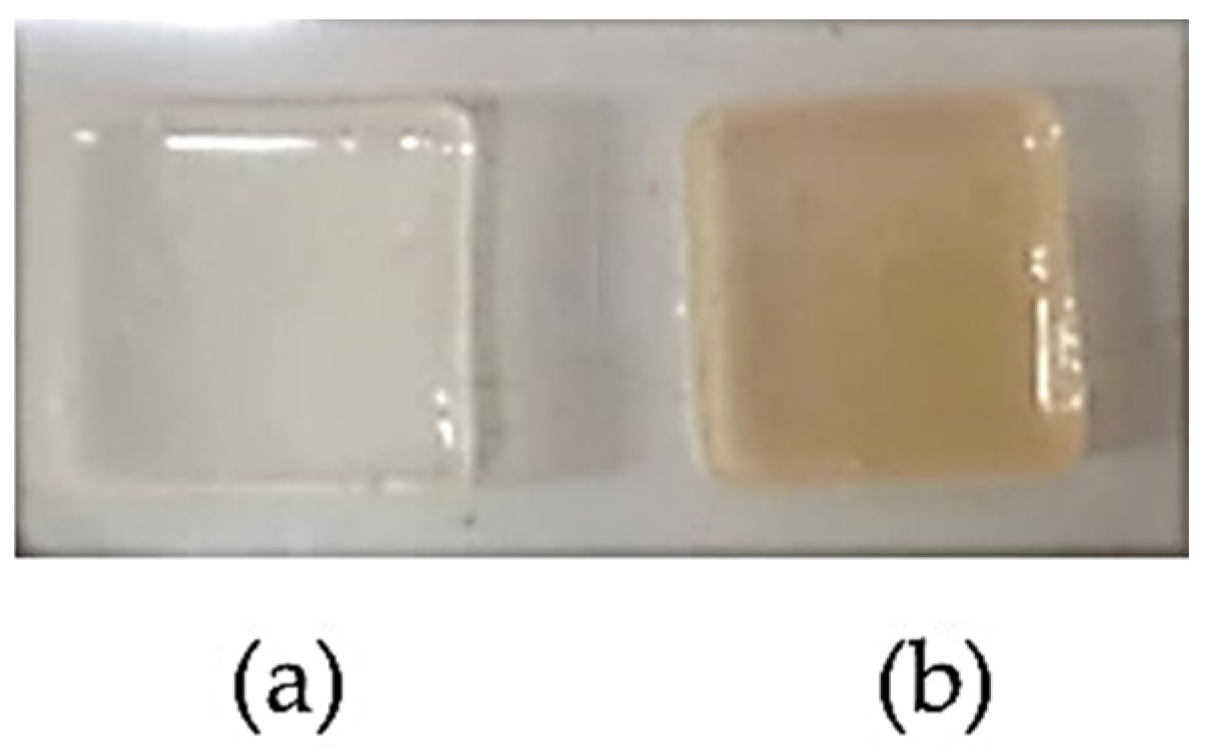 Pharmaceutics 14 01302 g002