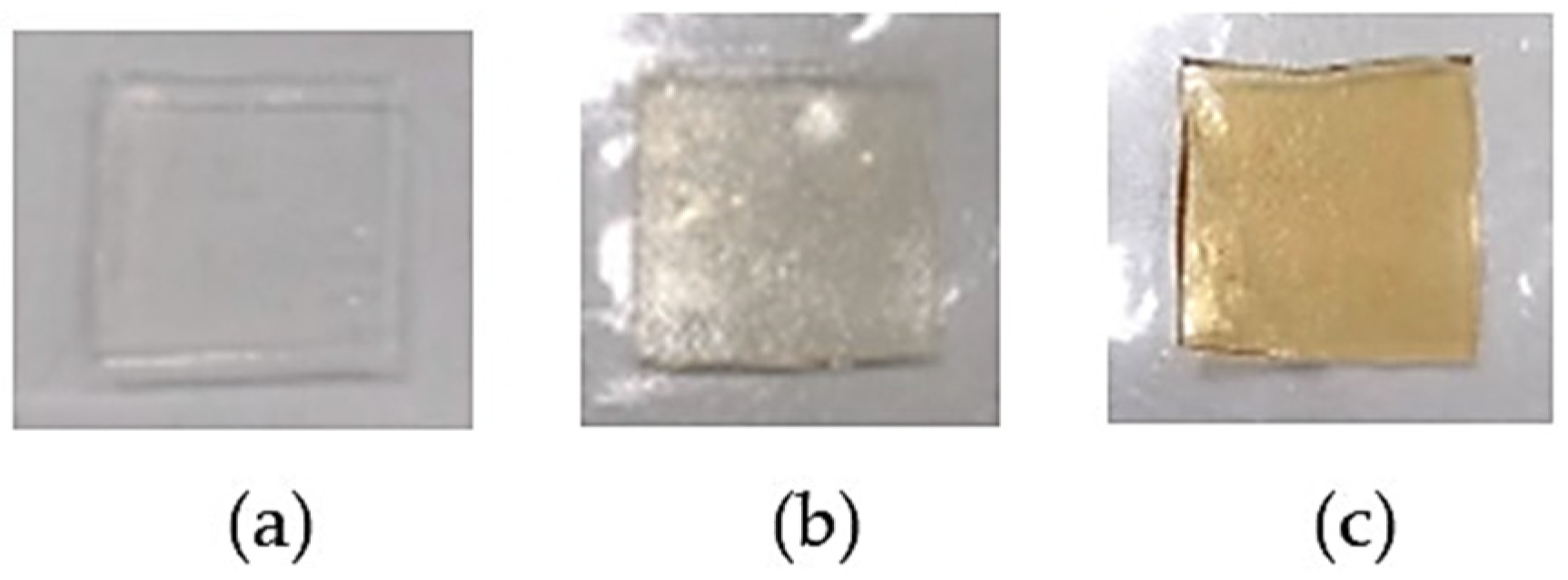 Pharmaceutics 14 01302 g003