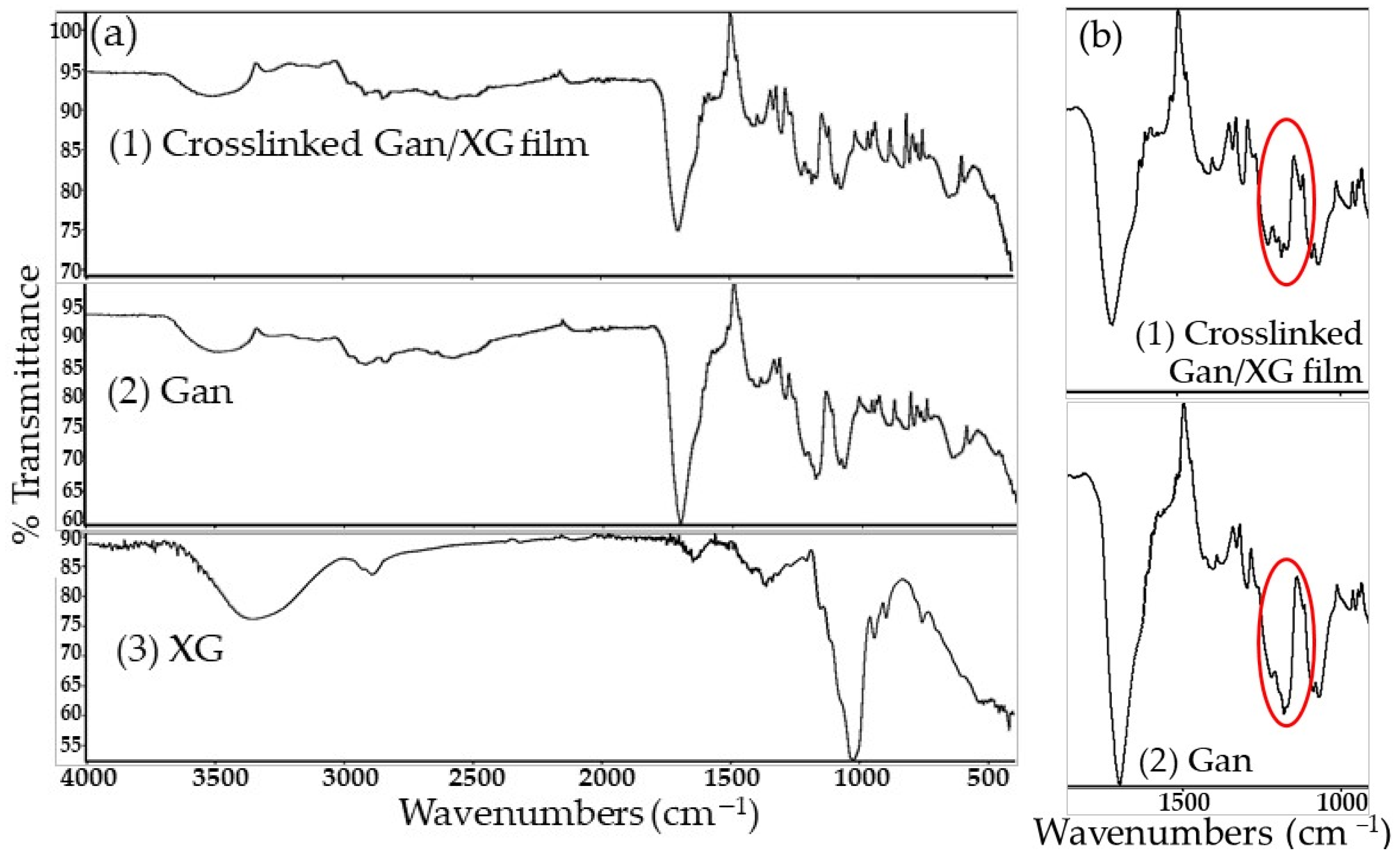 Pharmaceutics 14 01302 g004