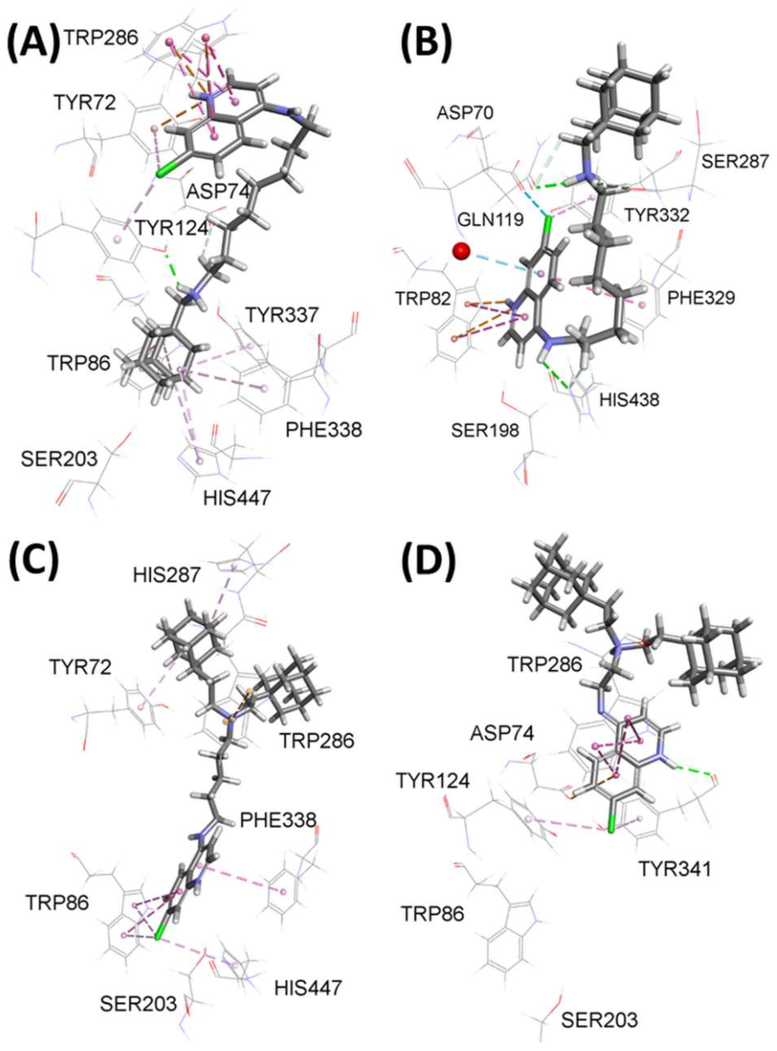 Pharmaceutics 14 01305 g002 550