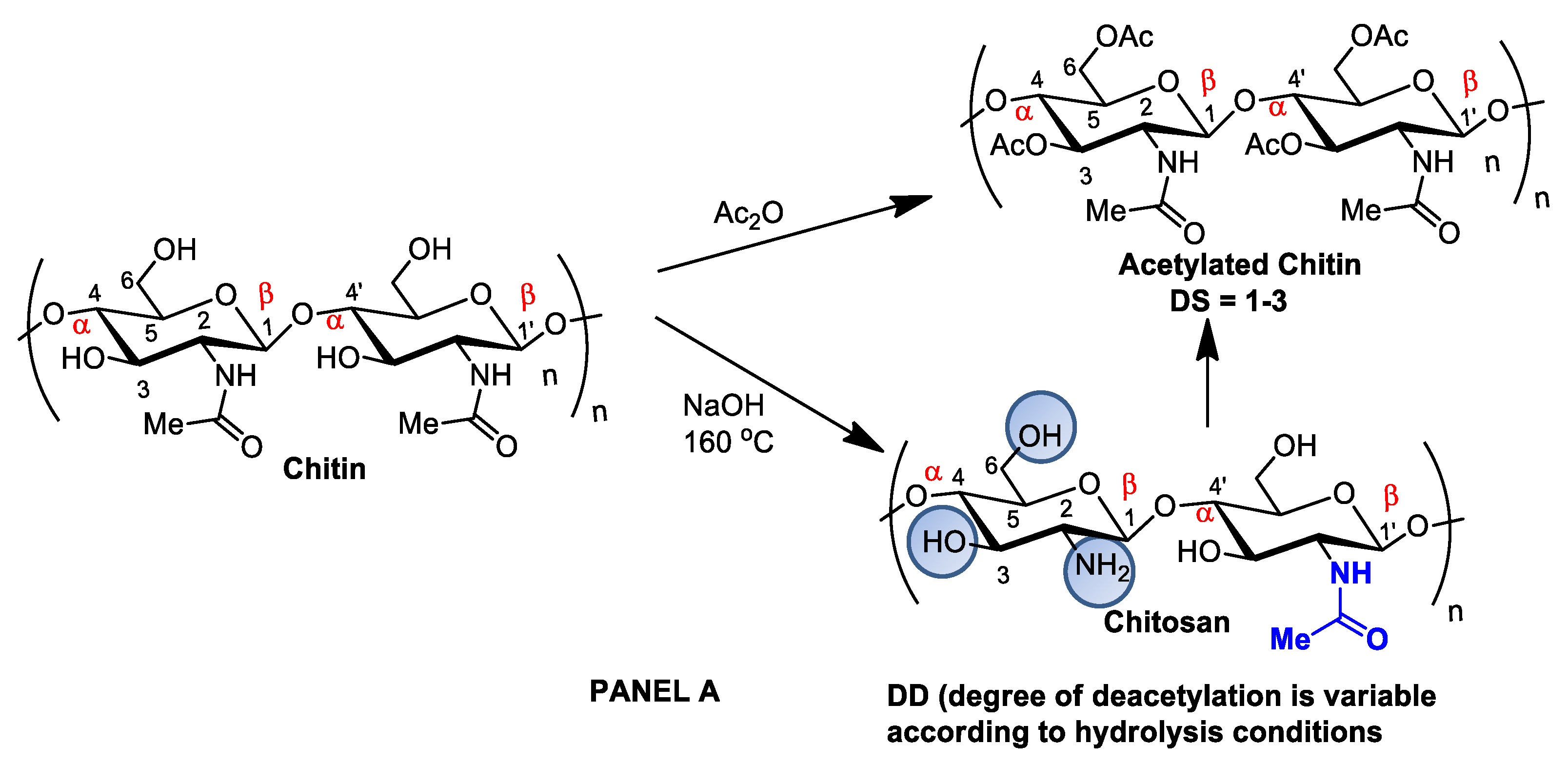 Pharmaceutics 14 01307 g002a Pharmaceutics 14 01307 g002a