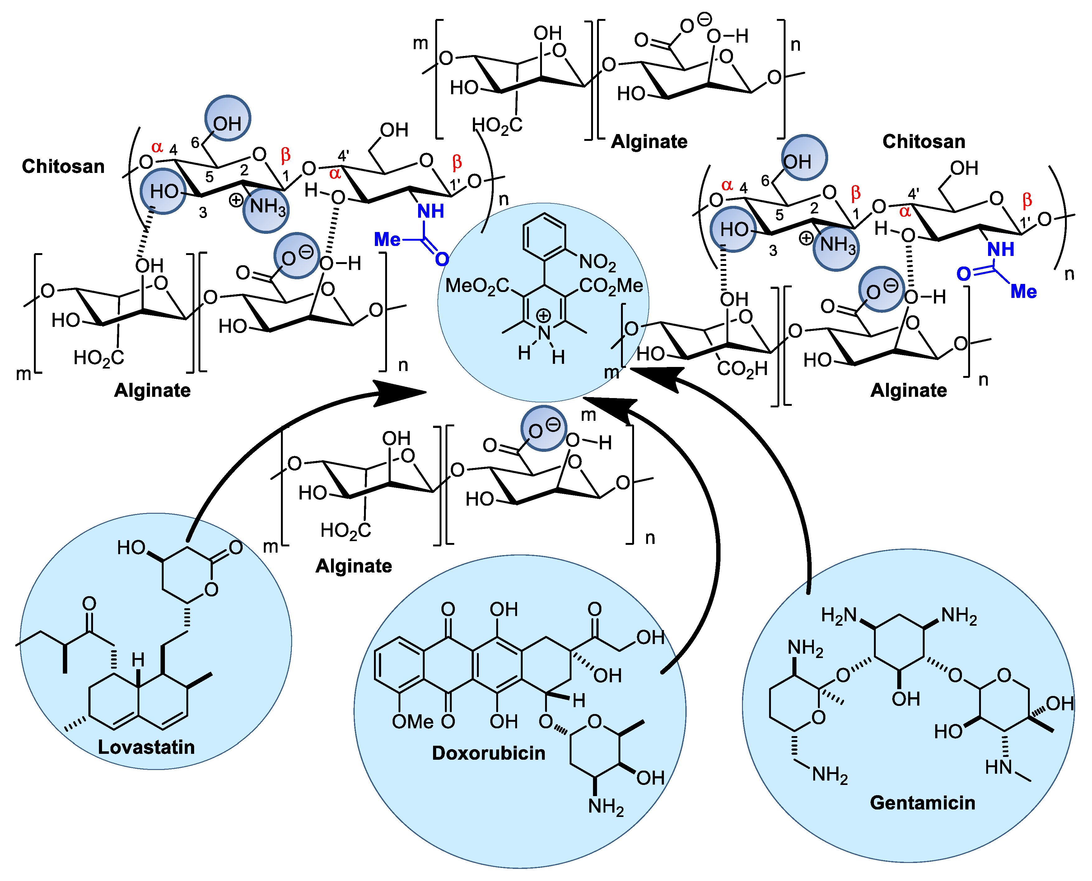 Pharmaceutics 14 01307 g007 Pharmaceutics 14 01307 g007