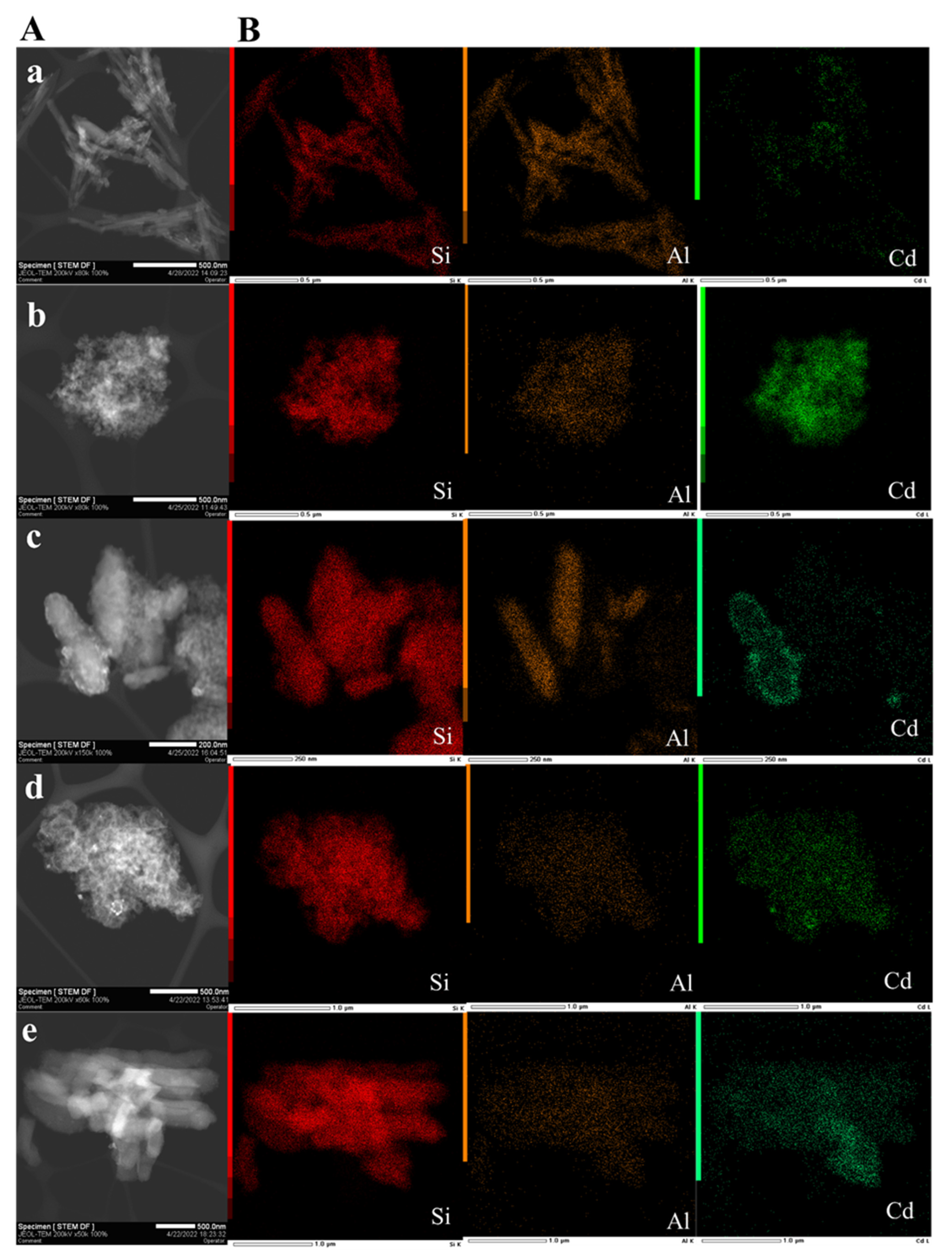 Pharmaceutics 14 01309 g003 550