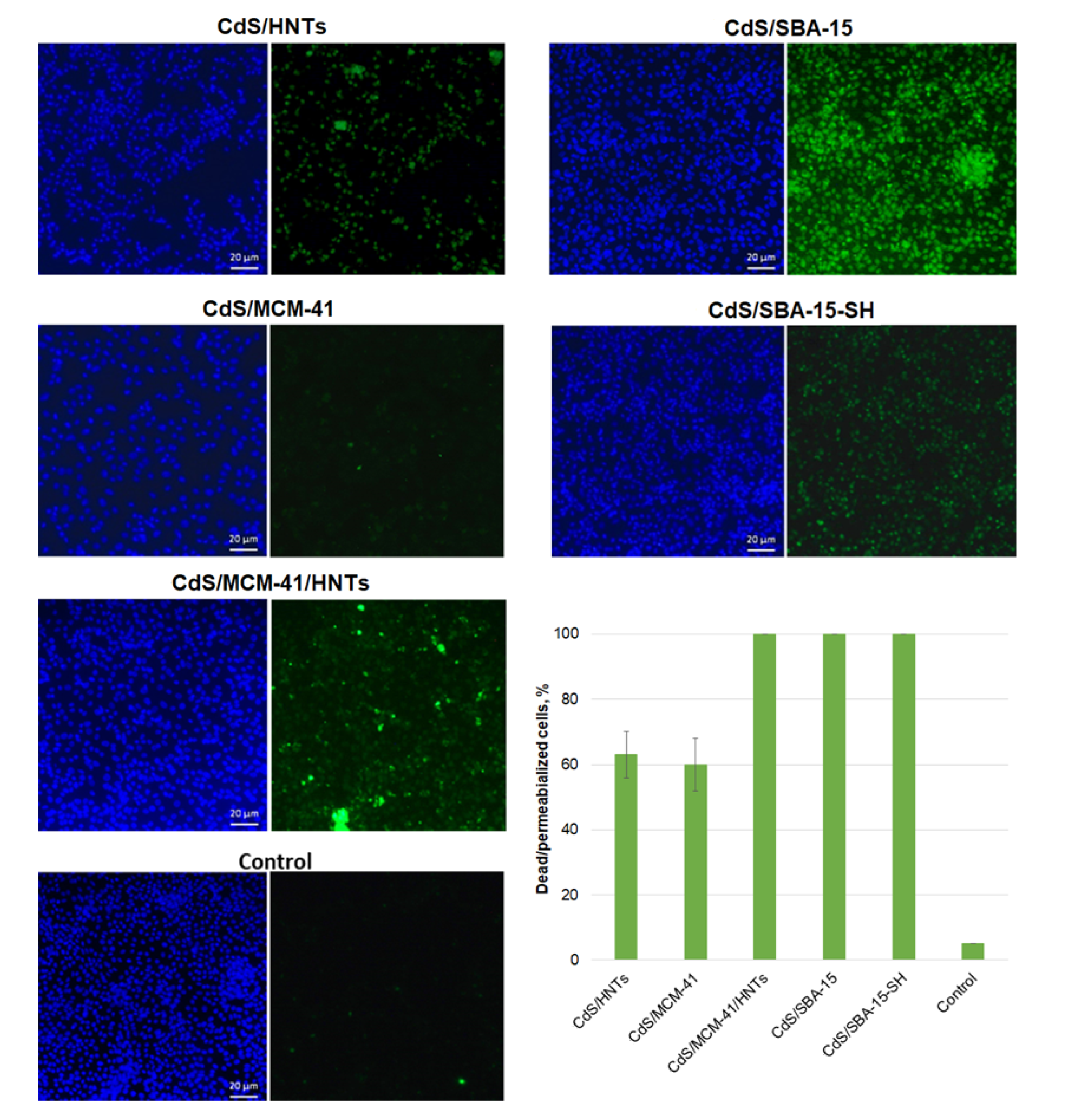 Pharmaceutics 14 01309 g008 550