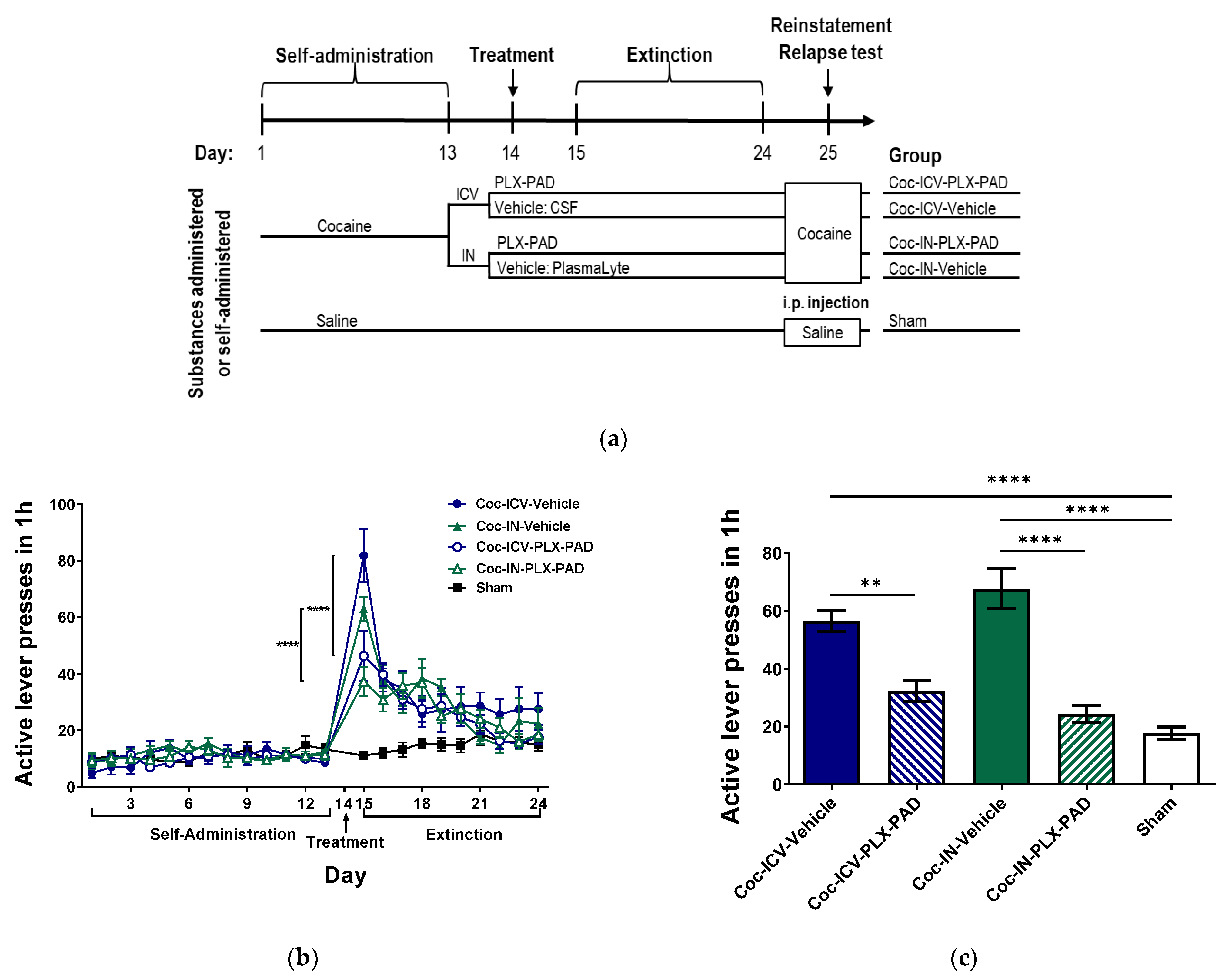 Pharmaceutics 14 01311 g001 550
