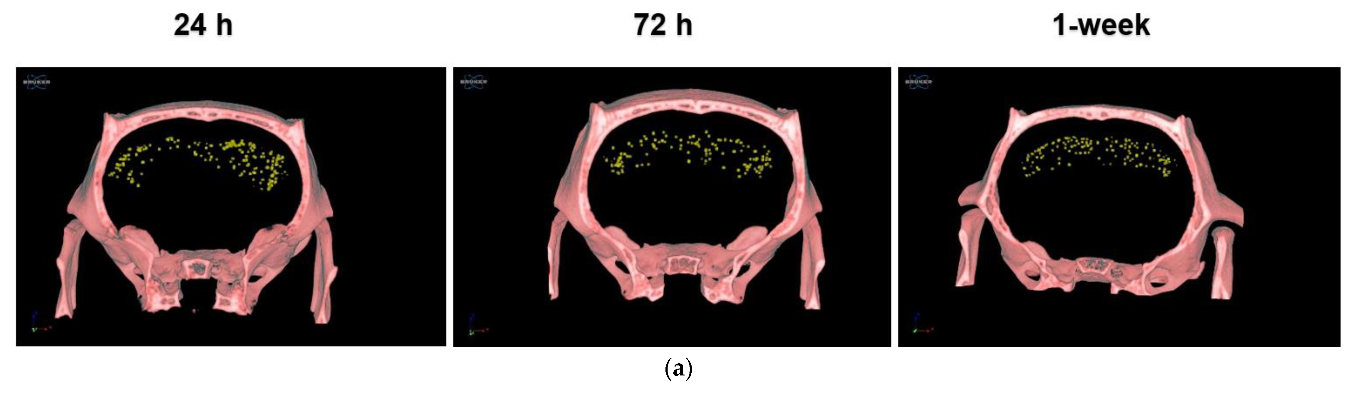 Pharmaceutics 14 01311 g003a 550