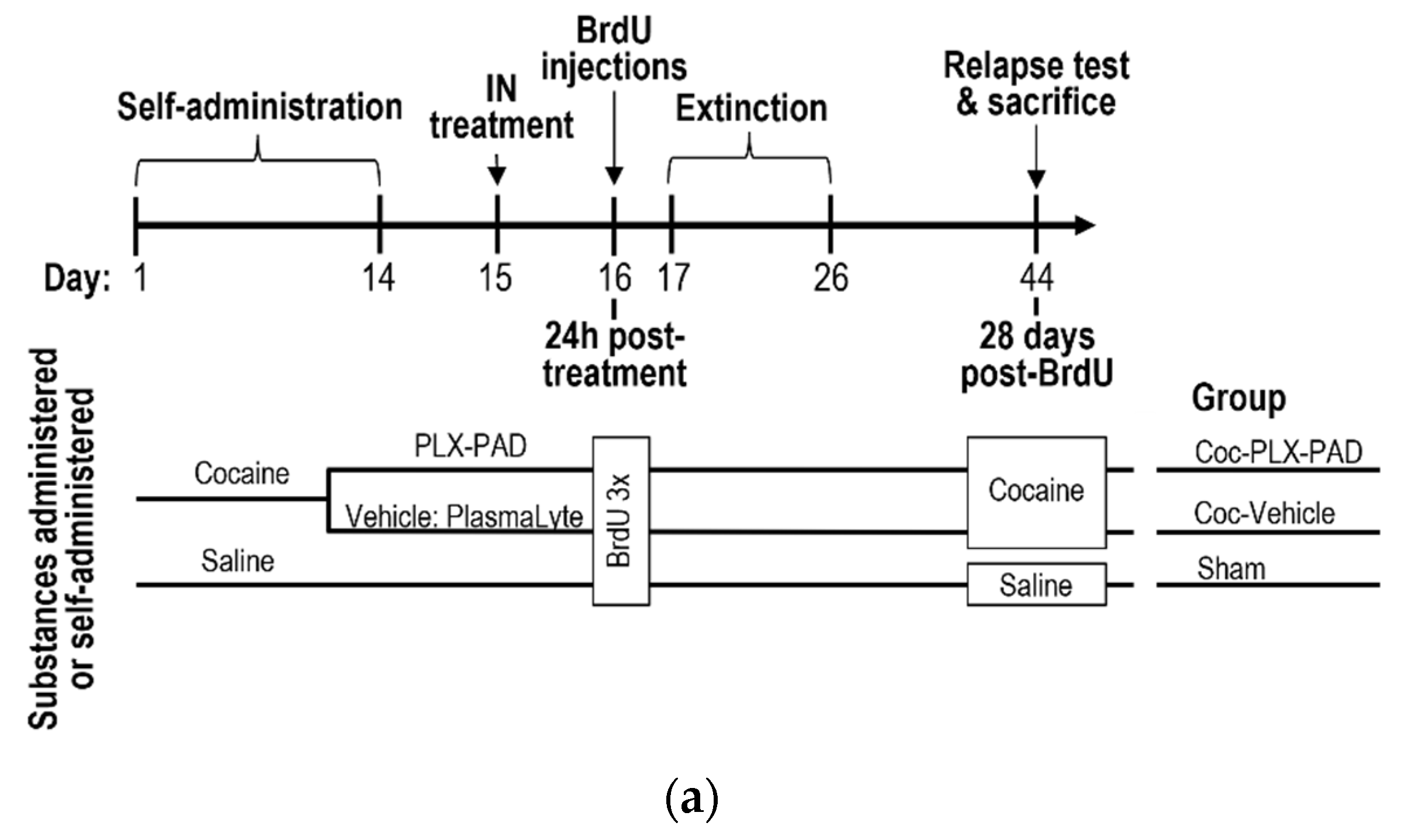 Pharmaceutics 14 01311 g004a 550