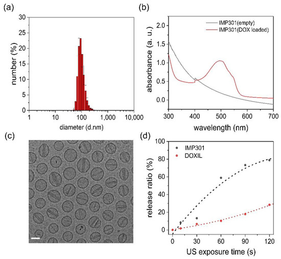 Ultrasound-Responsive Liposomes for Targeted Drug Delivery