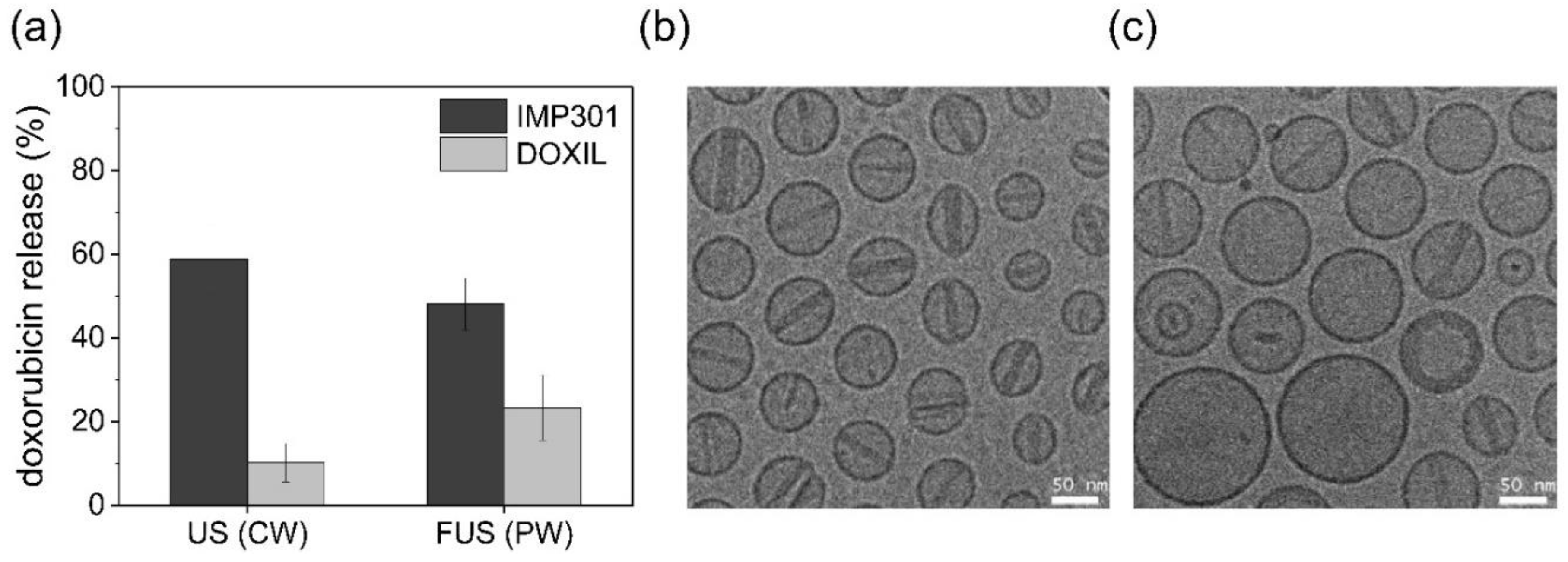 Pharmaceutics 14 01314 g002 550